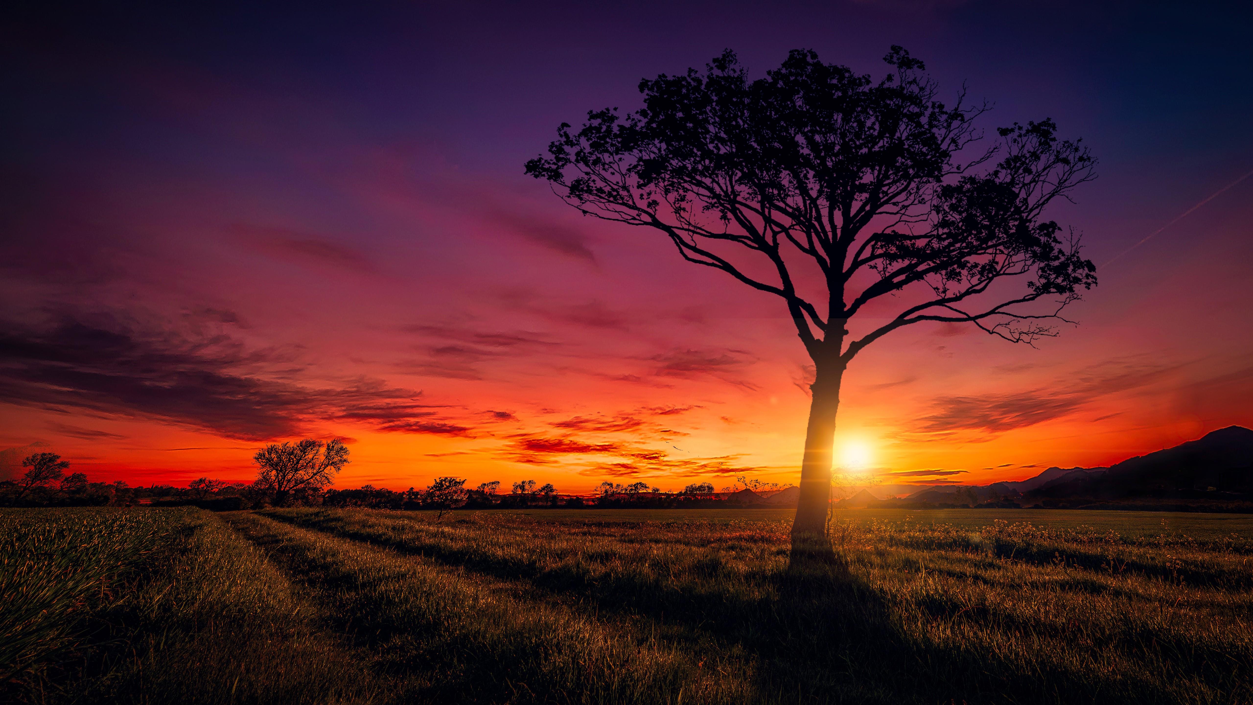5120x2880 Free download HD wallpaper of nature [5120x2880] for your Desktop, Mobile & Tablet. Explore Picture Of Nature Wallpaper. Nature Wallpaper For Desktop, Wallpaper Picture, Beautiful Picture of Nature Wallpaper