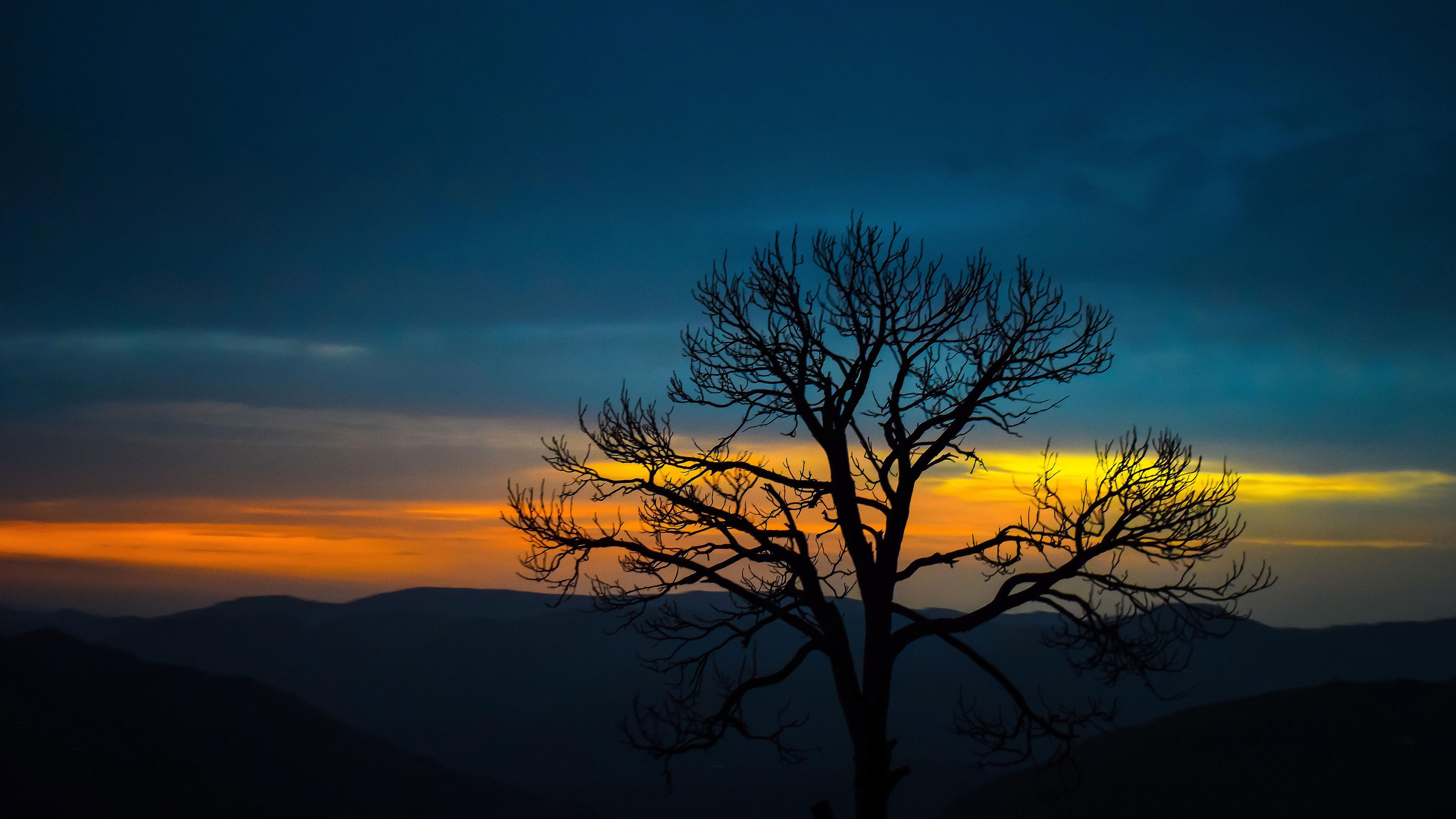 5120x2880 Nature Trees Mountains HD 4k Sunset Forest 5k HD 4k Wallpaper, Image, Background, Photo and Picture