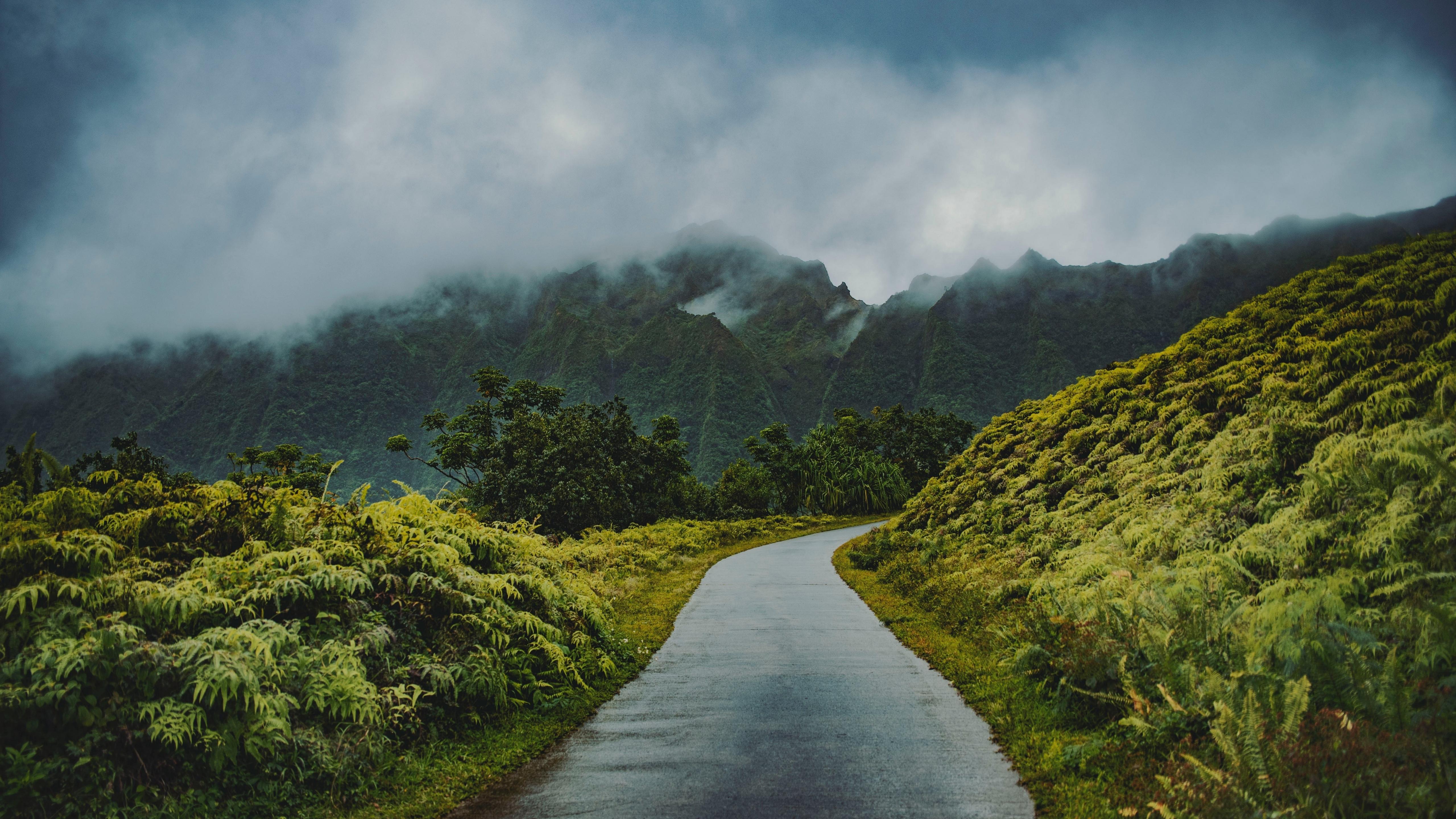 5120x2880 Download 5120x2880 wallpaper road through green hills, mist, nature, 5k image, background, 19818