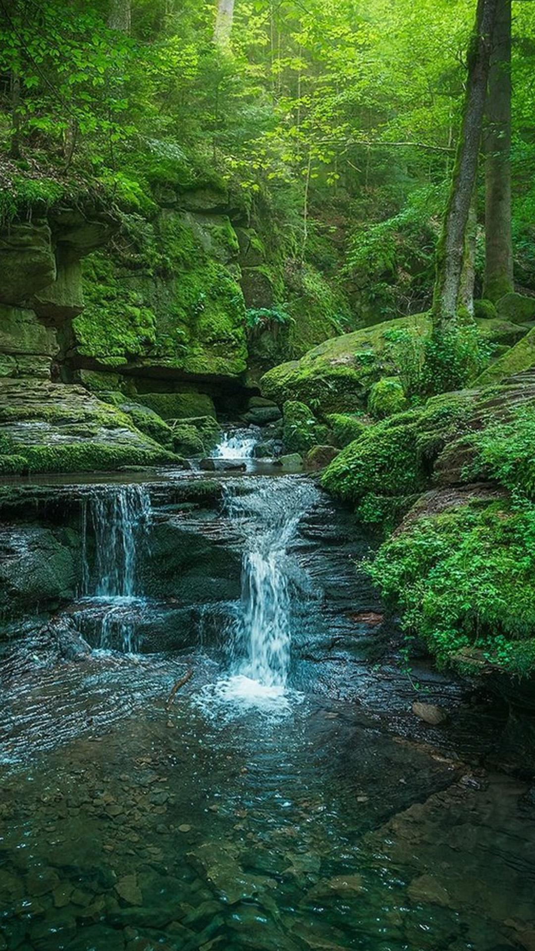 1080x1920 Free download EntePic Nature HD IPhone 7 Wallpaper Part 3 nature wallpaper [1080x1920] for your Desktop, Mobile & Tablet. Explore Green iPhone 7 Plus Wallpaper. Green iPhone 7 Plus