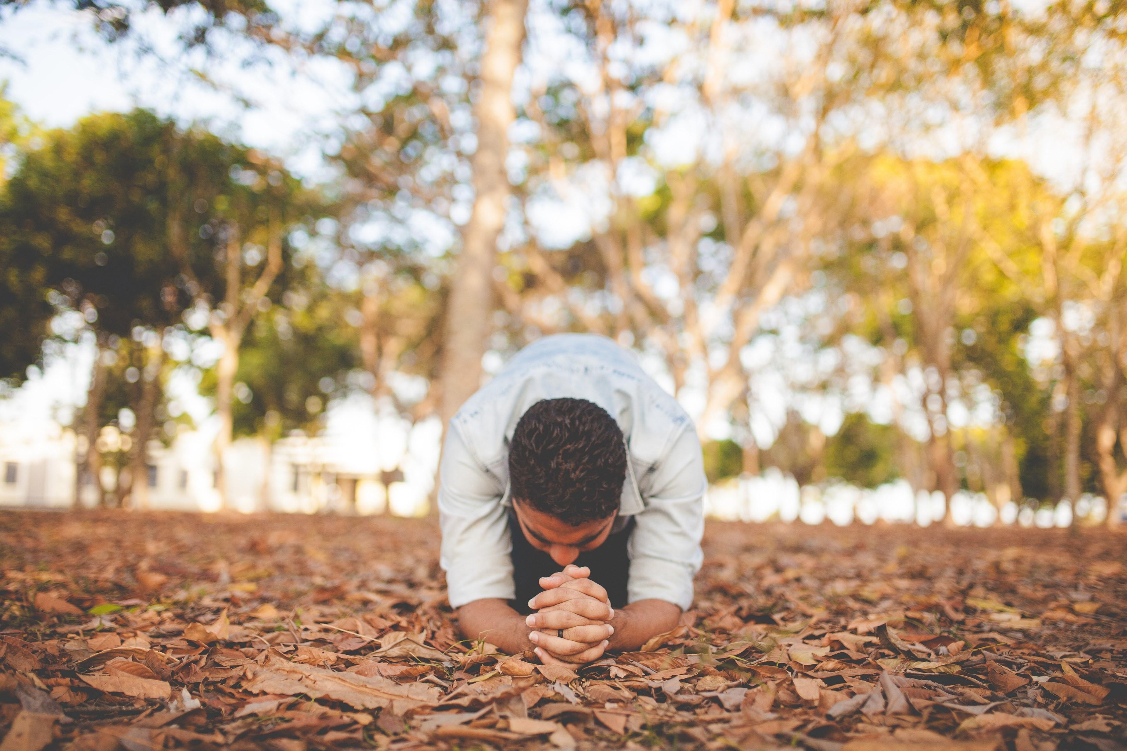 3840x2560 Wallpaper / man kneeling in leaves the ground with hands folded in prayer, man praying in the forest 4k wallpaper