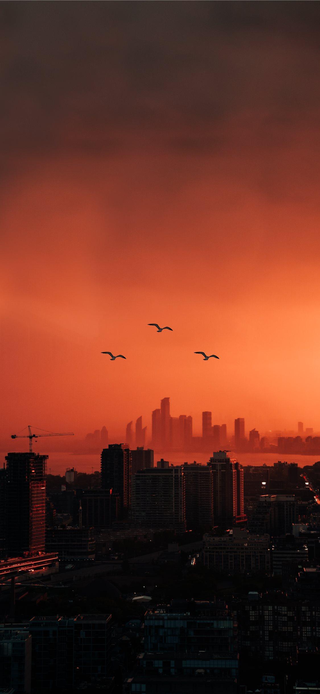1125x2436 city buildings photo during sunset iPhone 11 Wallpaper Free Download