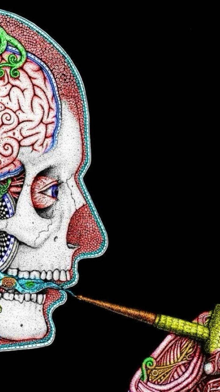 720x1280 Abstract Human Head Htc one x wallpaper