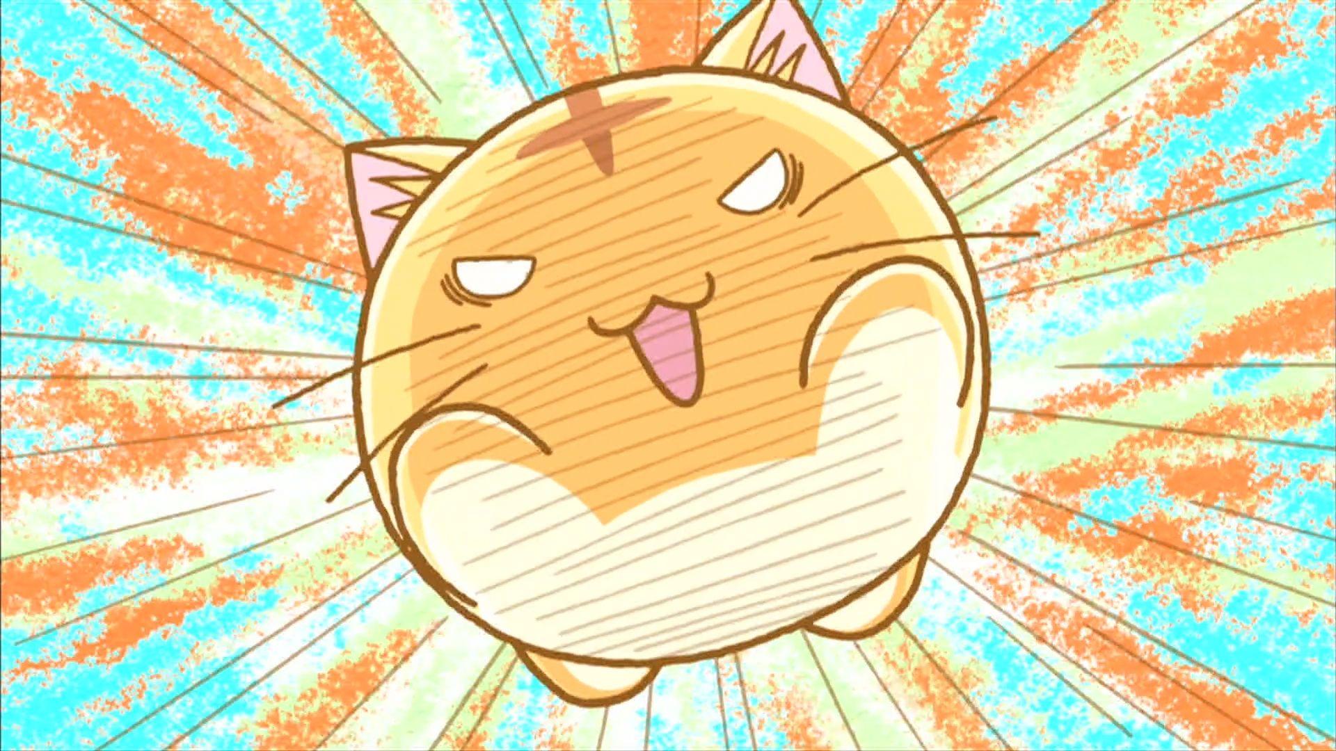 1920x1080 kawaii cat wallpaper