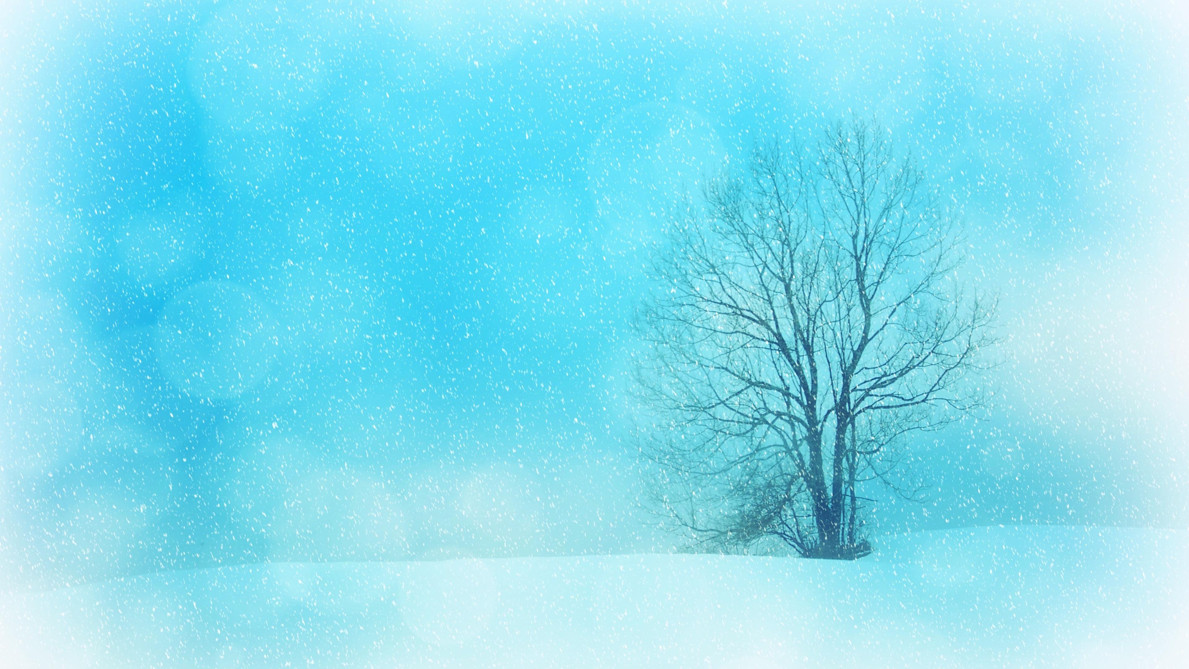 3840x2160 Wallpaper 4k Winter Snowflakes Tree 4k Wallpaper