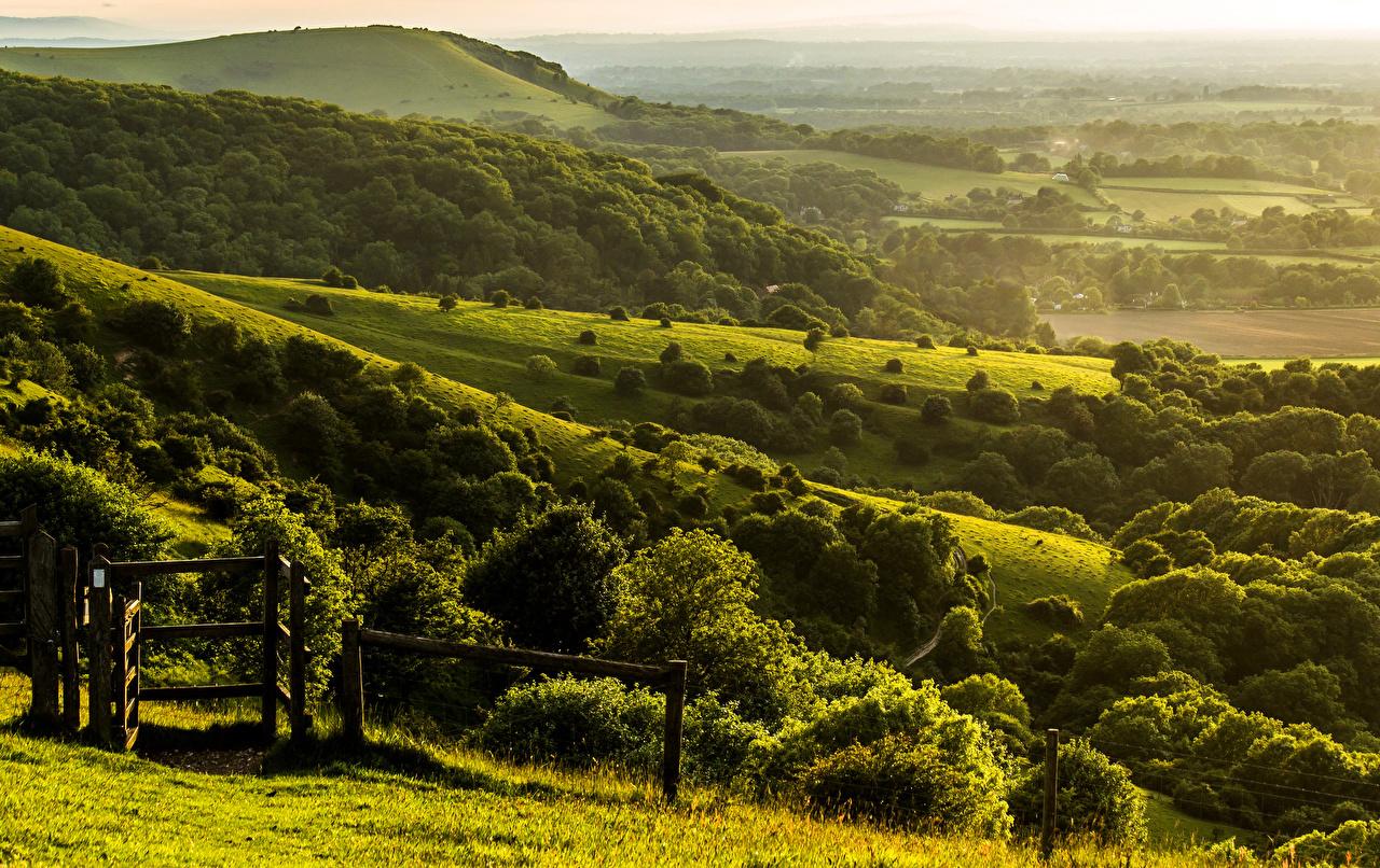 1280x806 Picture England United Kingdom Pyecombe West Sussex Nature landscape