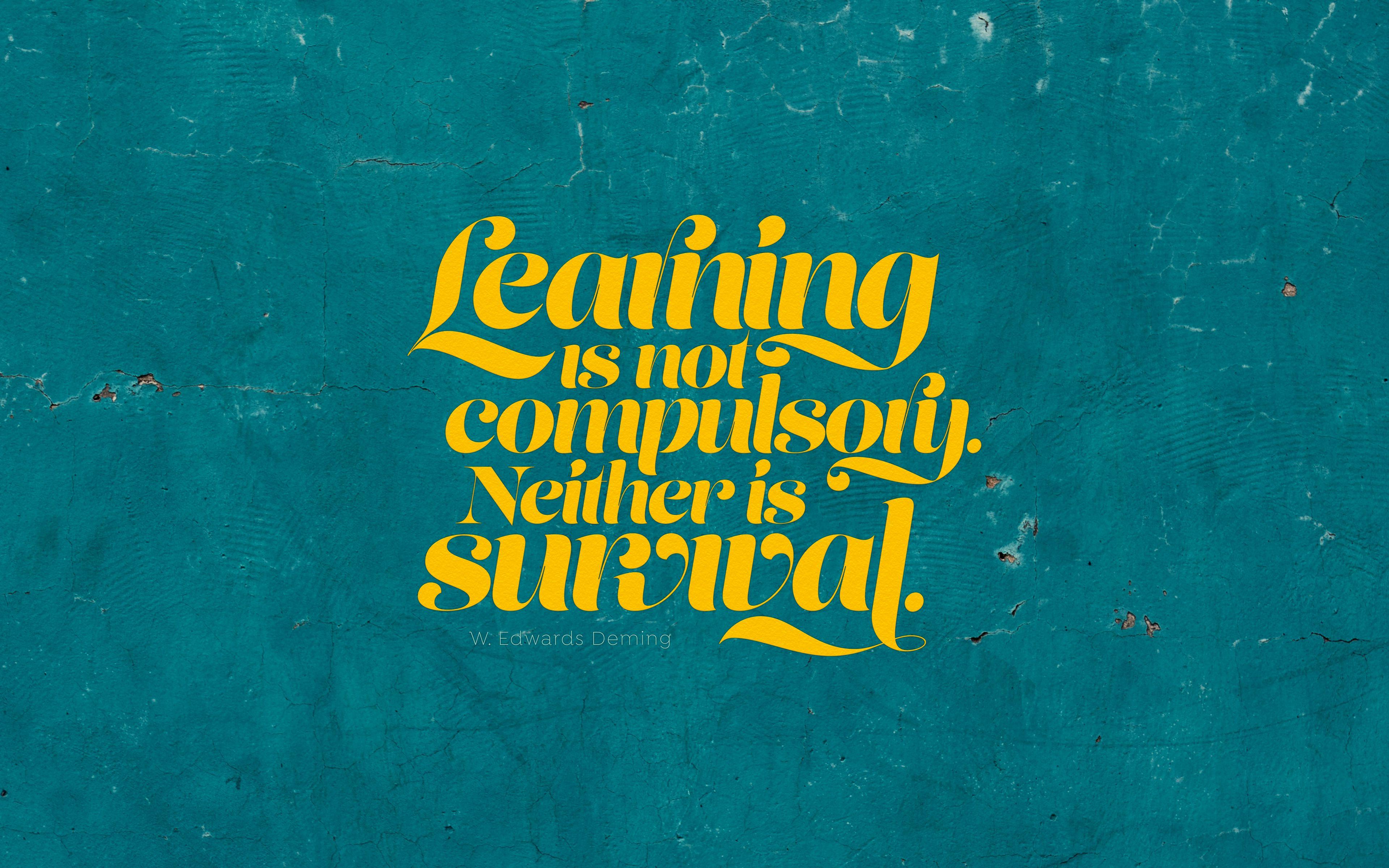 3840x2400 Wallpaper Quote, Learning, Saying, Opinion, Phrase HD Wallpaper