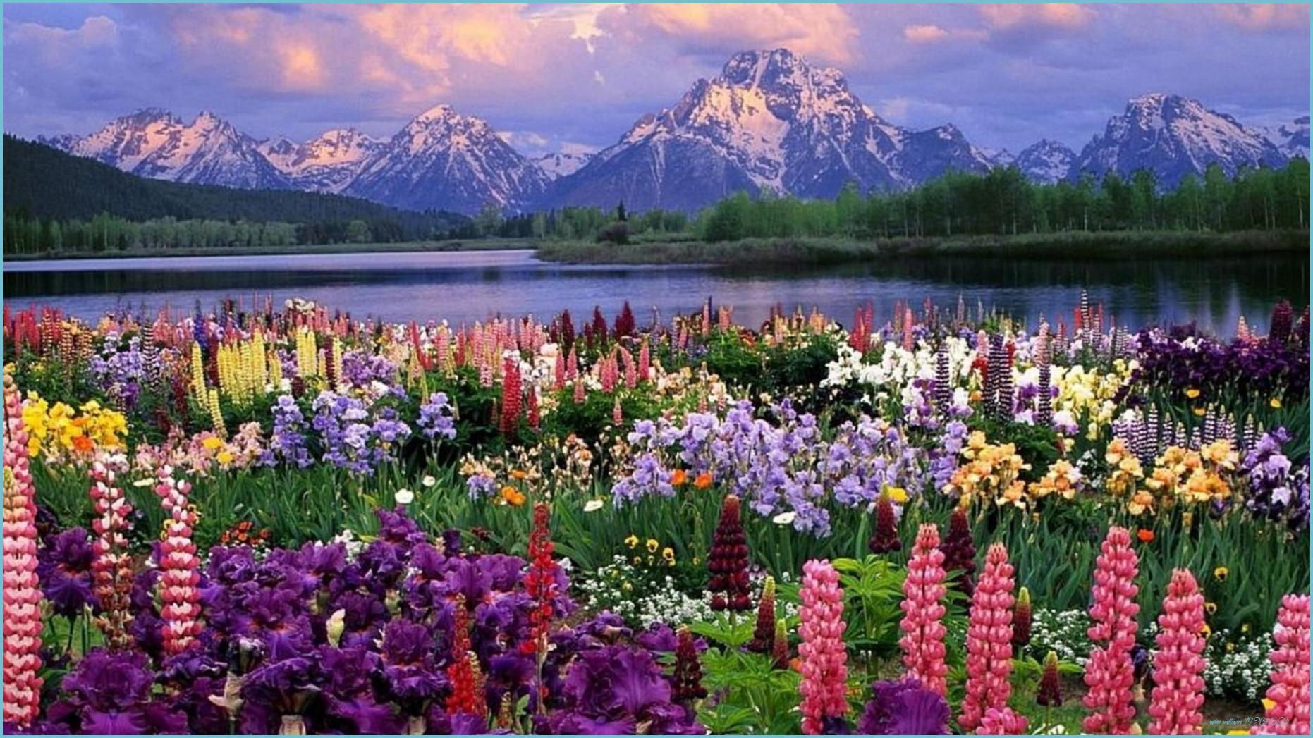 1862x1047 Spring Nature Wallpaper For Desk Cute Wallpaper Wallpaper 1920x1080