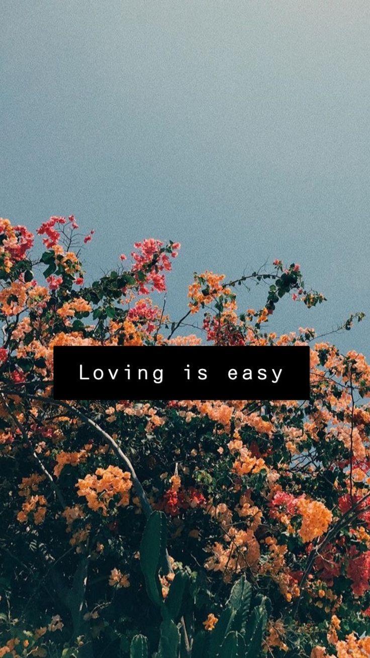 736x1309 Loving is easy Rex Orange County wallpaper::Click here to download Loving is easy Rex Orange County wallp. Cute love wallpaper, Tumblr wallpaper, Love wallpaper