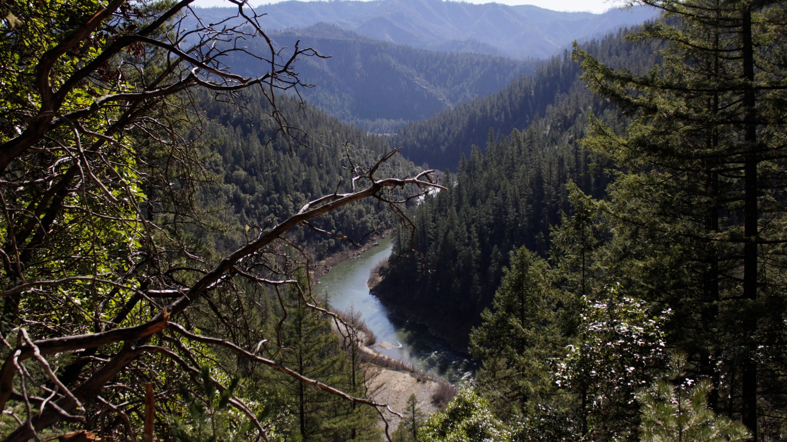 2560x1440 In rural California community, officials slow reopening