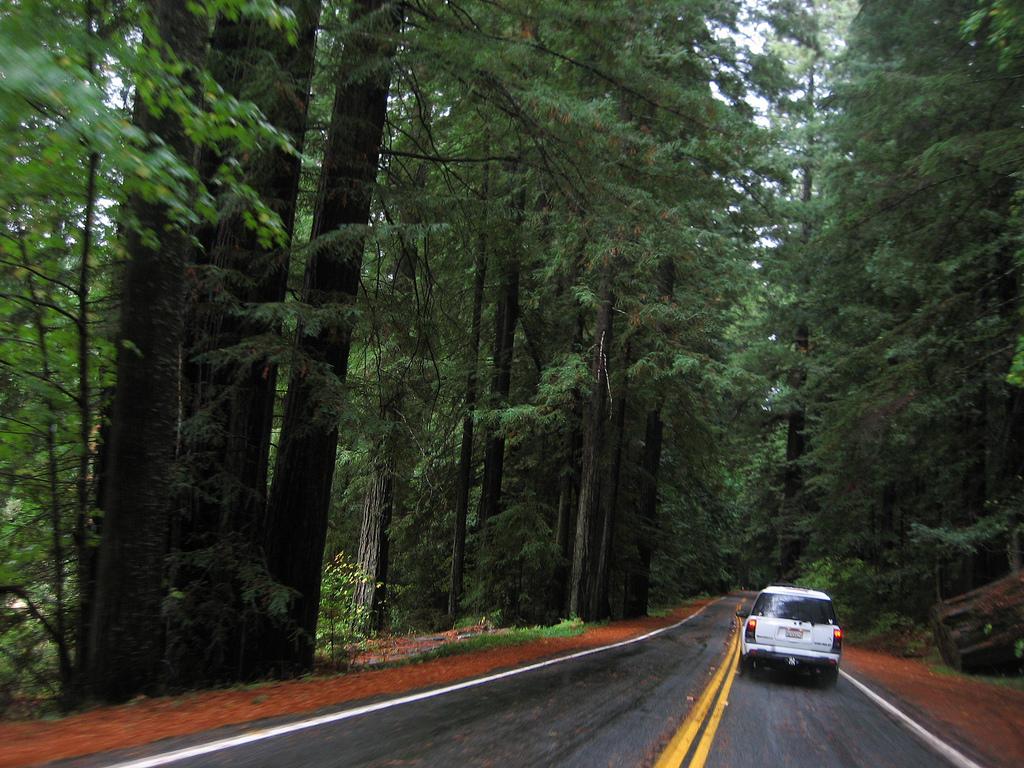 1024x768 Humboldt County