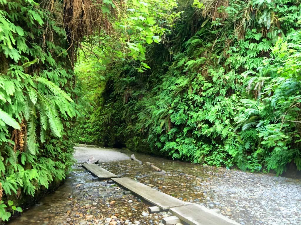 1024x768 Humboldt County Bucket List List Publications
