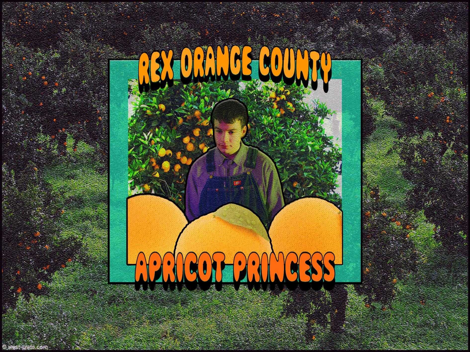 1890x1417 Orange Computer Wallpaper