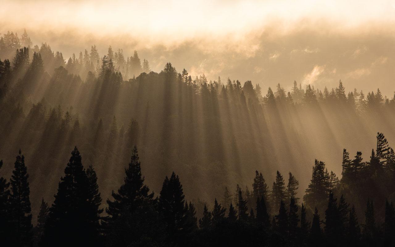 1280x800 The History of Humboldt