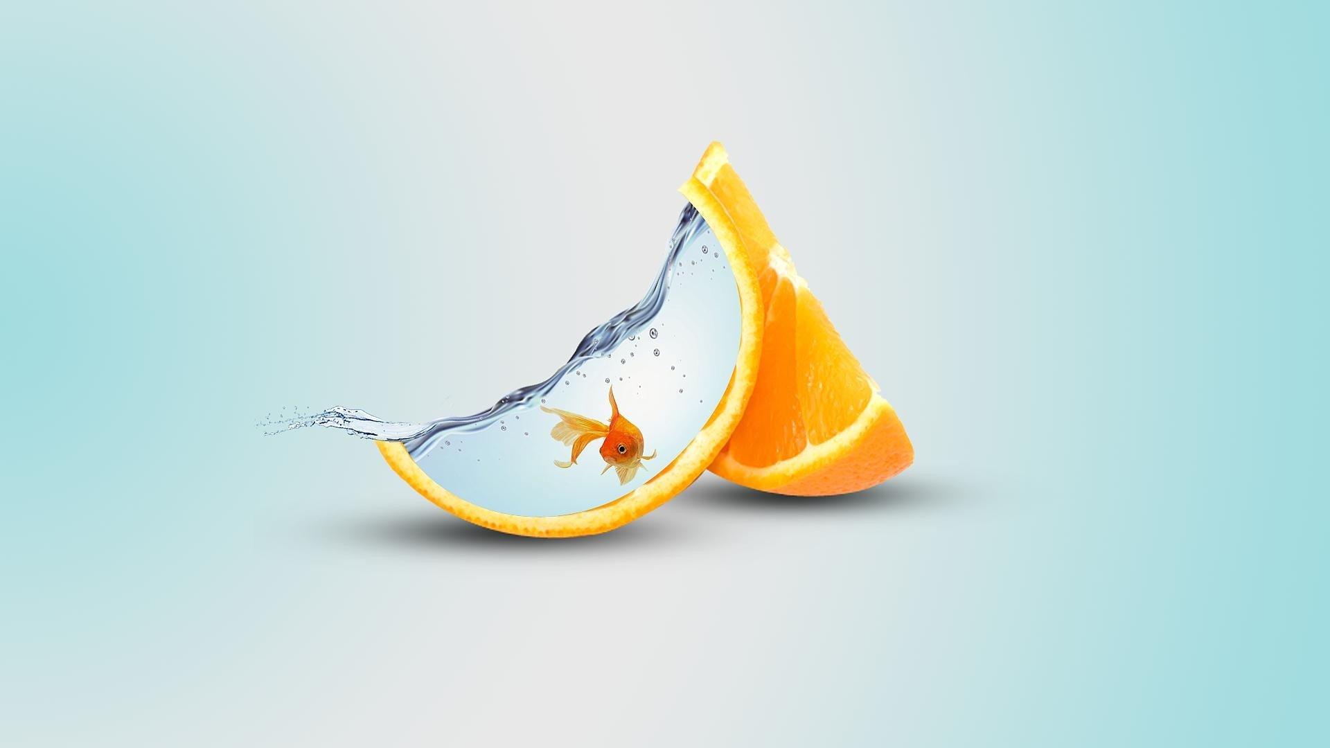 1920x1080 orange (fruit), Orange, Fish, Water Wallpaper HD / Desktop and Mobile Background