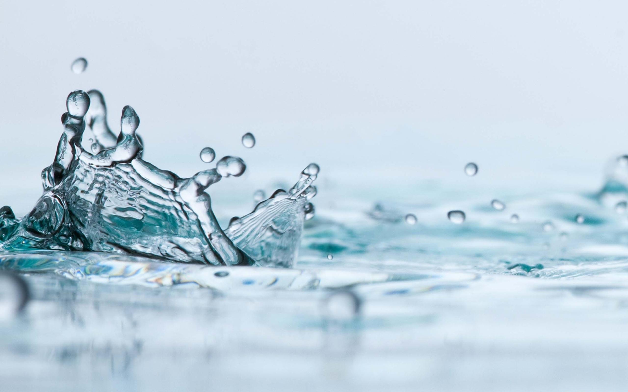 2560x1600 Fresh Water wallpaperx1600