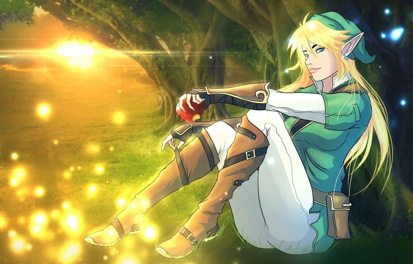 1332x850 Wallpaper forest, girl, elf, fan art, Link, Legend of Zelda image for desktop, section игры