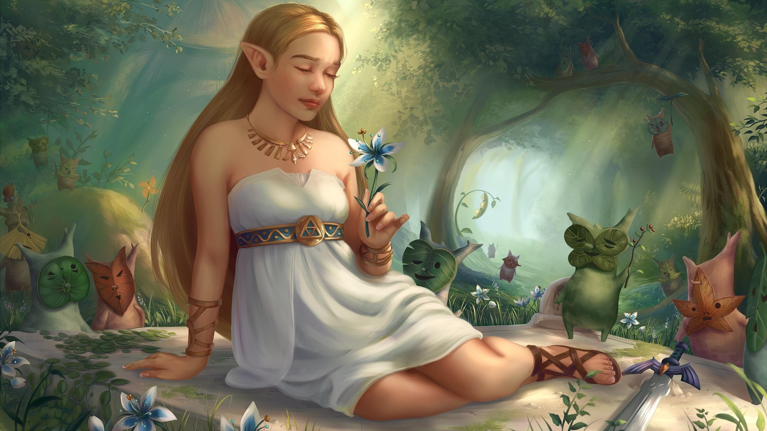 2560x1440 Hyrule HD wallpaper, Background