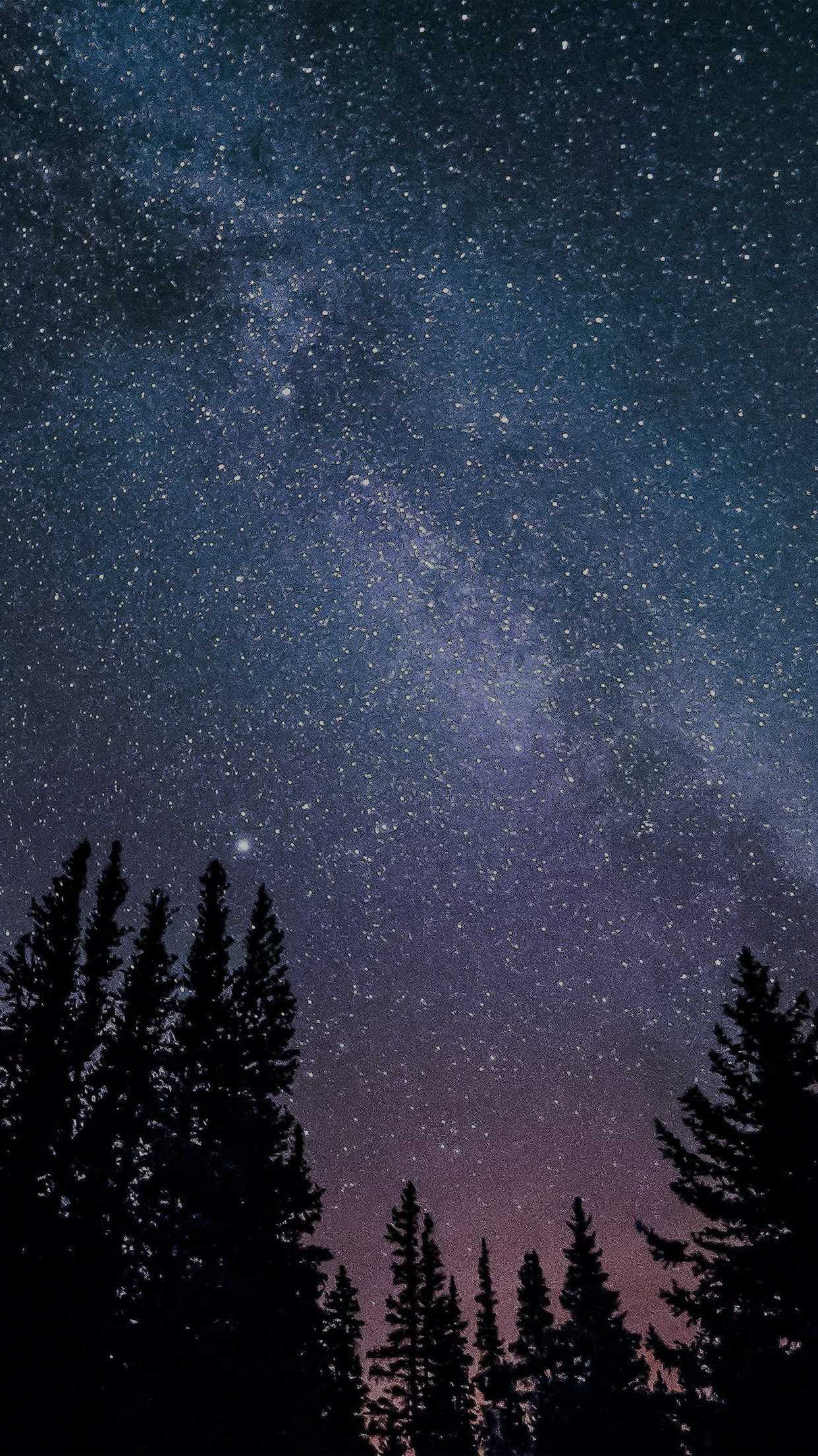 1242x2208 Night Sky Wallpaper Free HD Wallpaper