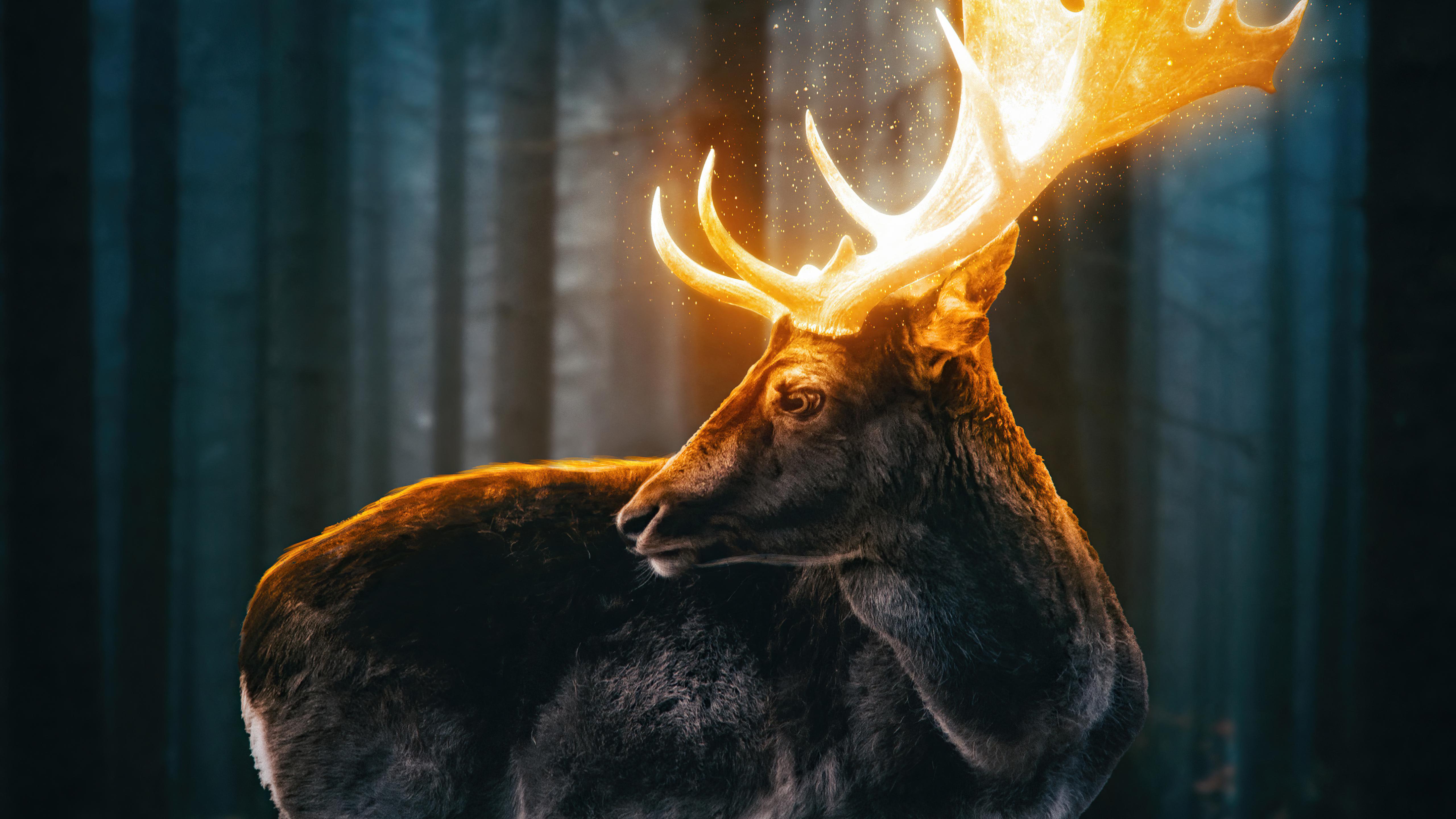 5120x2880 Magical Reindeer Forest 5k, HD Artist, 4k Wallpaper, Image, Background, Photo and Picture
