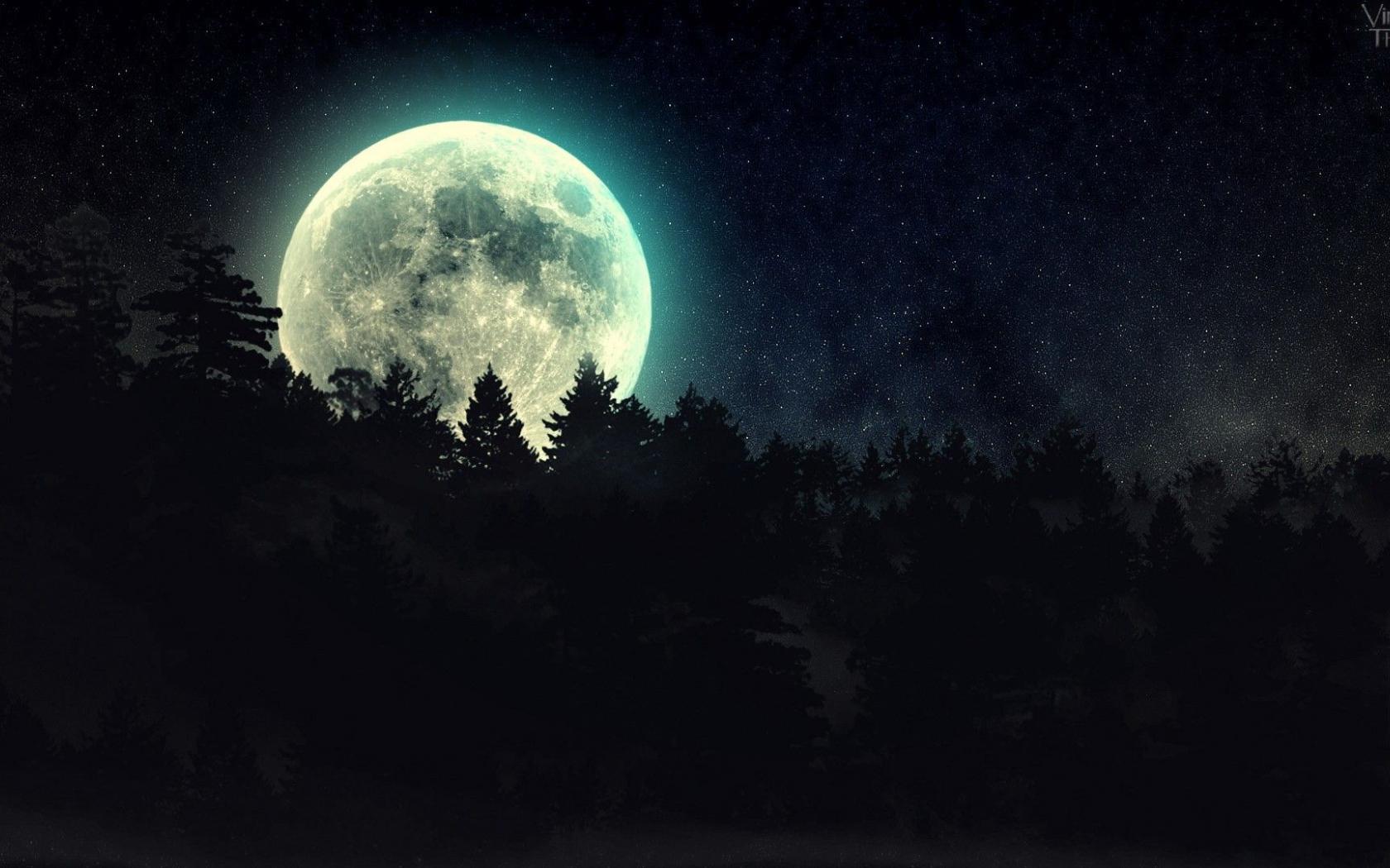 1680x1050 Free download Forest Moonlight HD Wallpaper FullHDWpp Full HD Wallpaper [1920x1080] for your Desktop, Mobile & Tablet. Explore Moonlight Wallpaper. HD Moon Wallpaper, Moon Wallpaper for Computer, Night Wallpaper HD