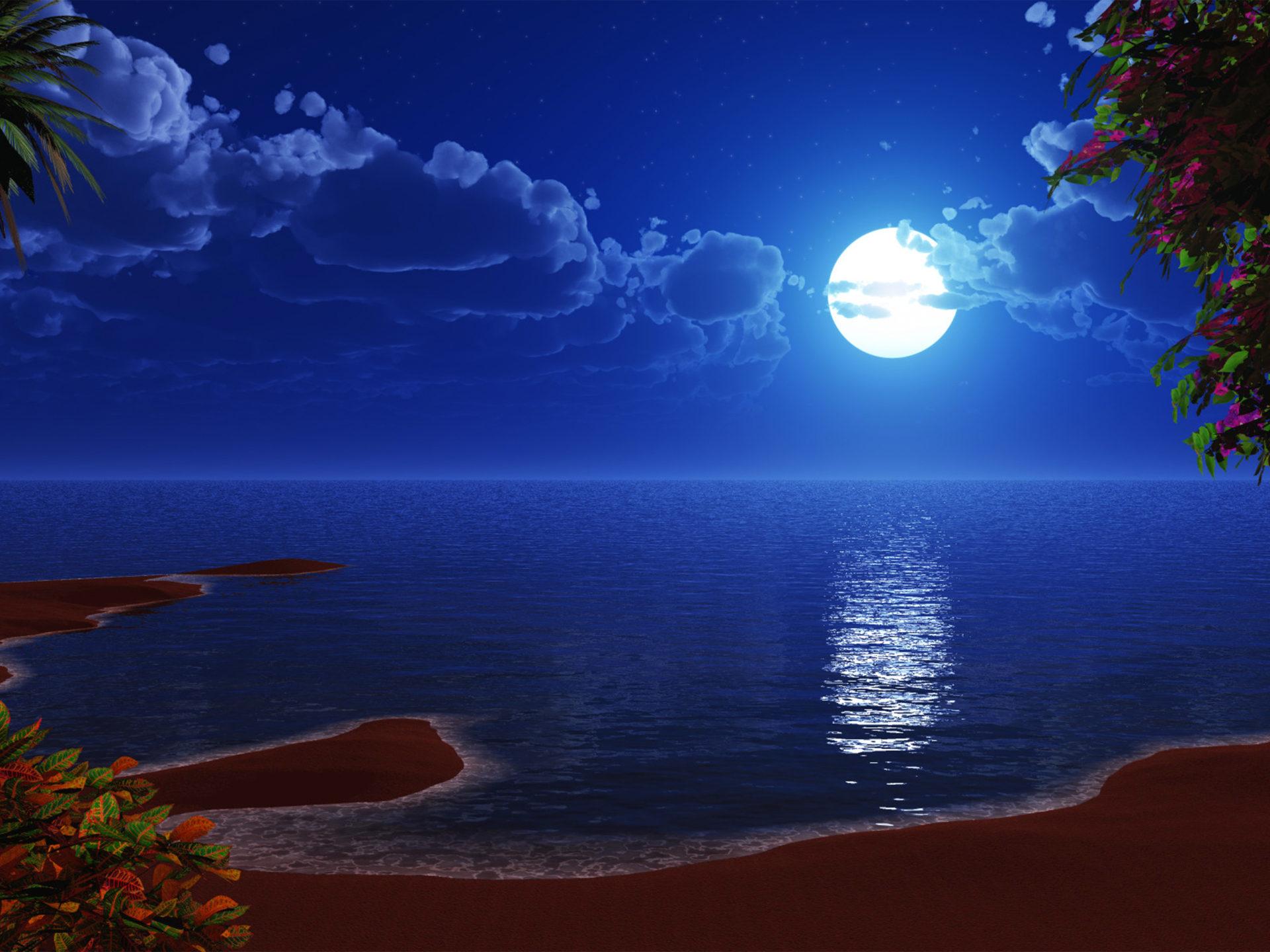 1920x1440 Beautiful Romantic Image Night Beach Palm Tree Full Moon Clouds Reflection Of Moon In The Sea :