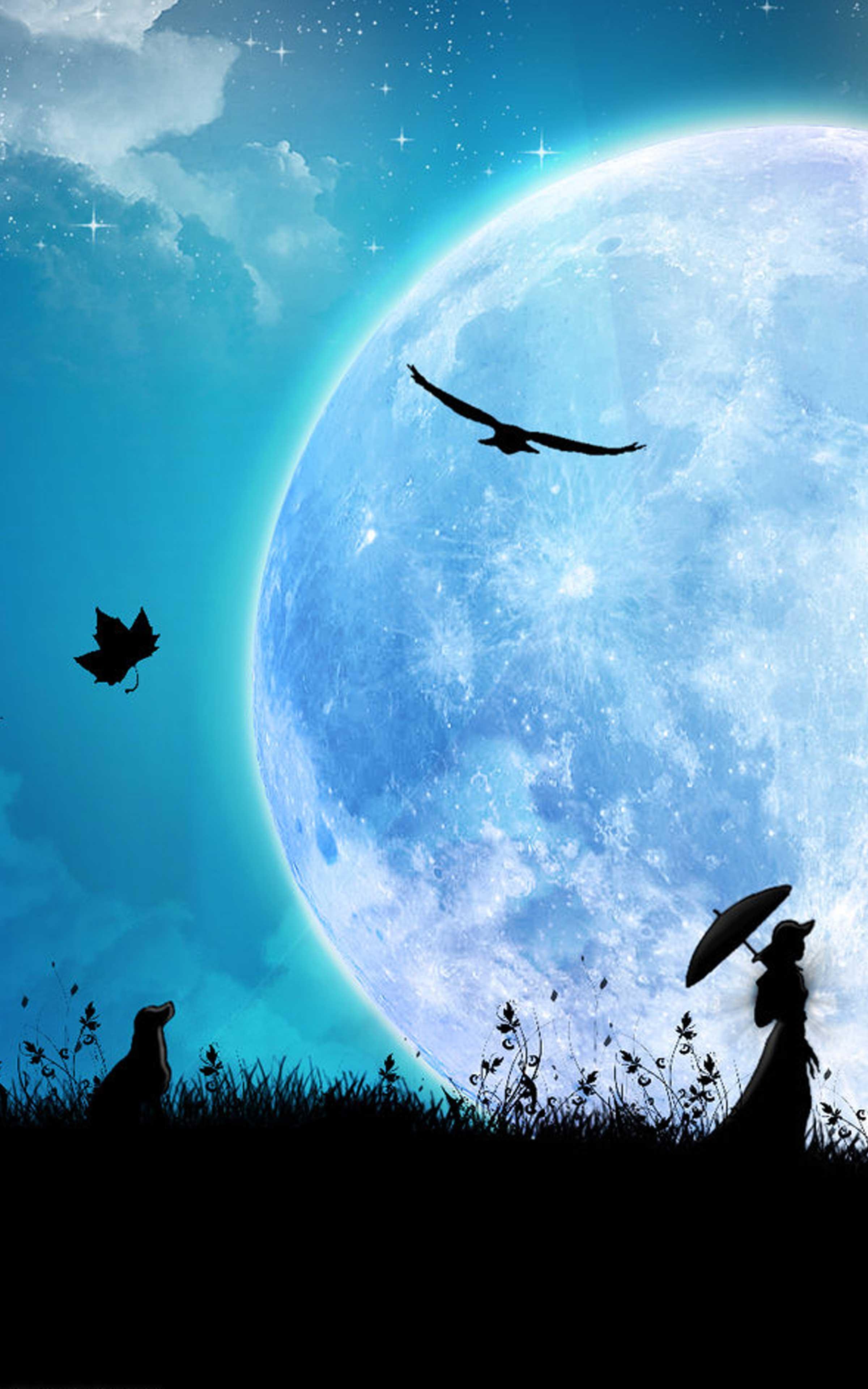 2400x3840 Moonlight Sky Wallpaper
