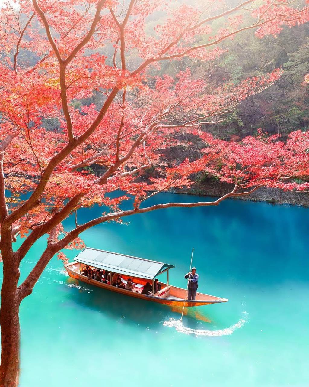 1024x1280 Japanese Nature Wallpaper