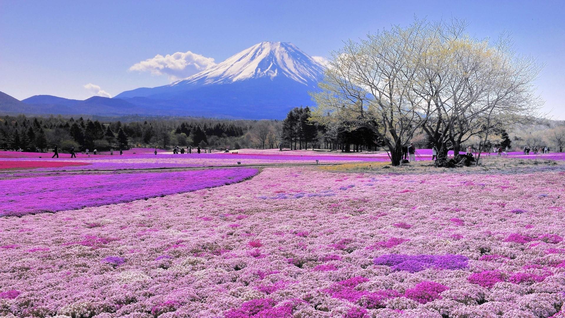 1920x1080 Full HD Mt Fuji Japan Scenery. Mocah HD Wallpaper