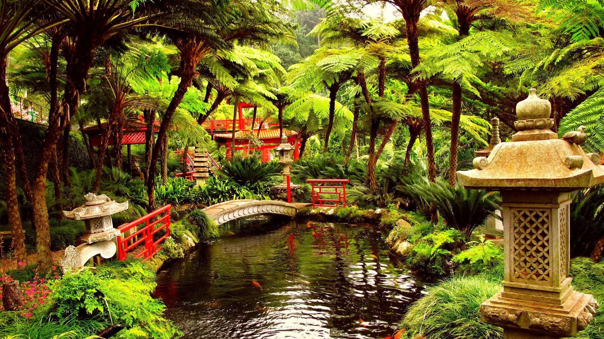 1920x1080 Japanese Nature Wallpaper 2020