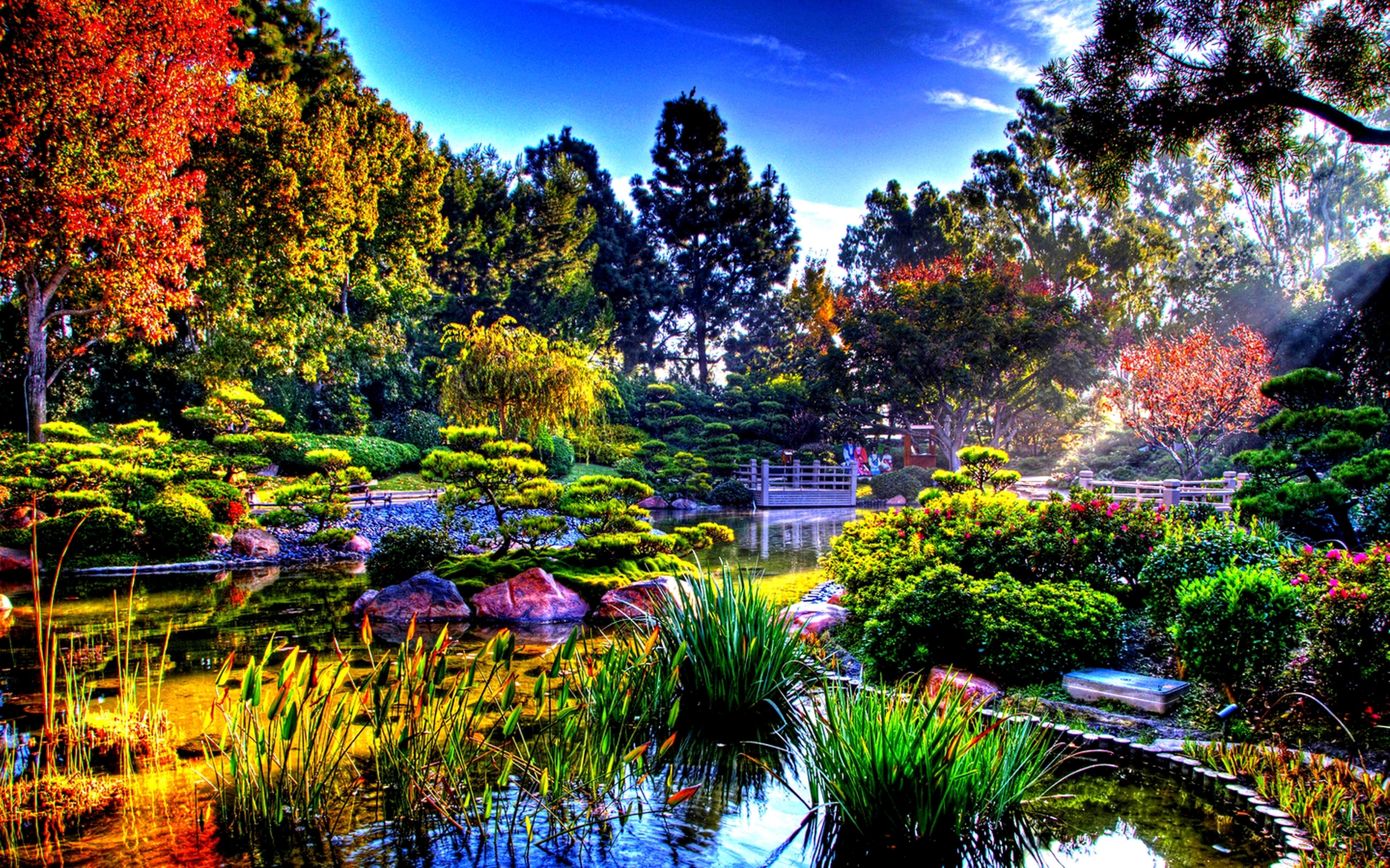 5120x3200 Colorful nature in the sun rays Garden Wallpaper
