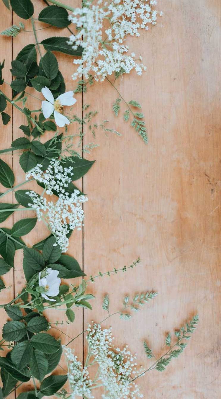 743x1339 Floral iPhone Wallpaper