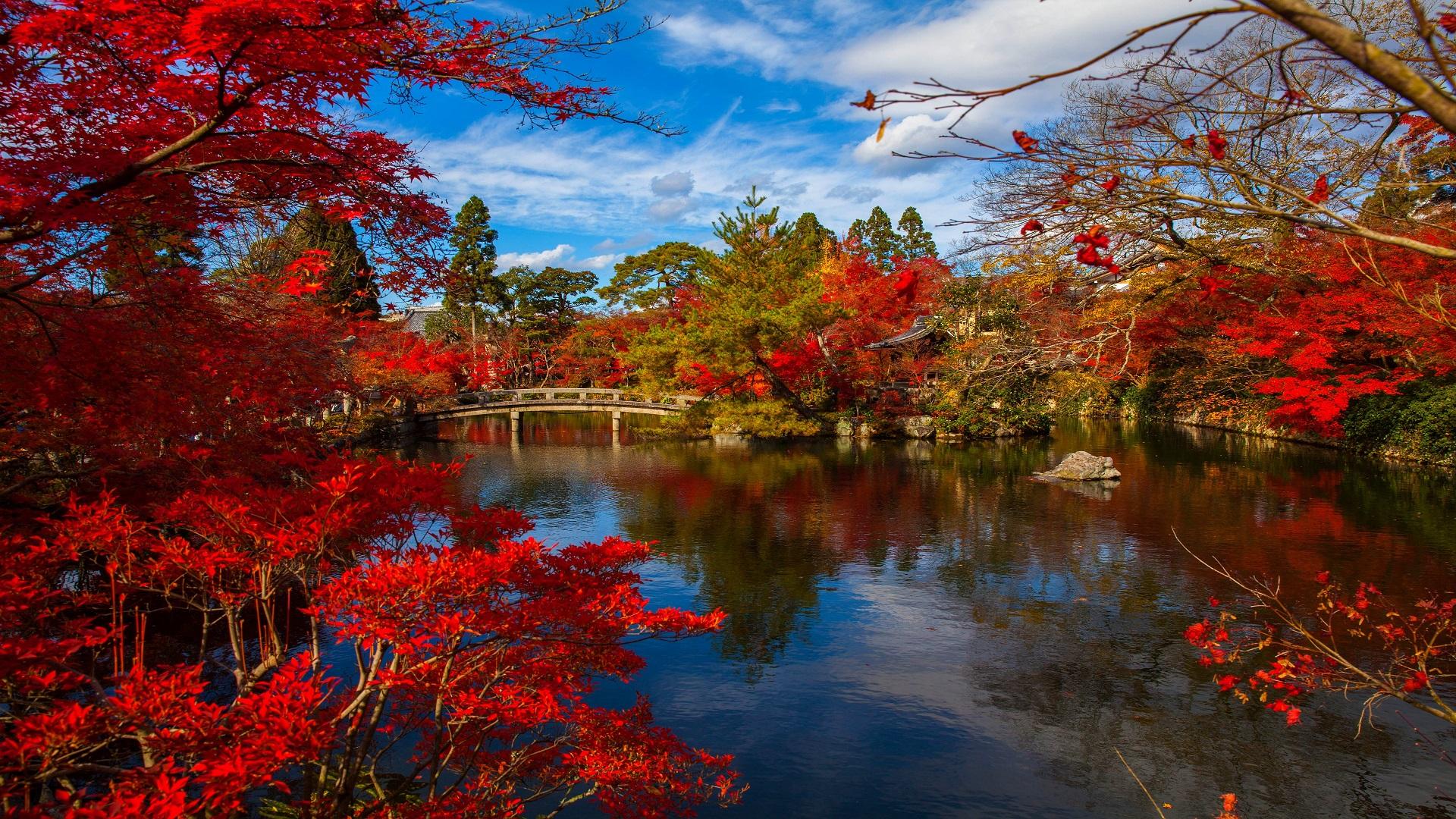 1920x1080 4k Japan Scenery Wallpaper and HD Background free download on PicGaGa