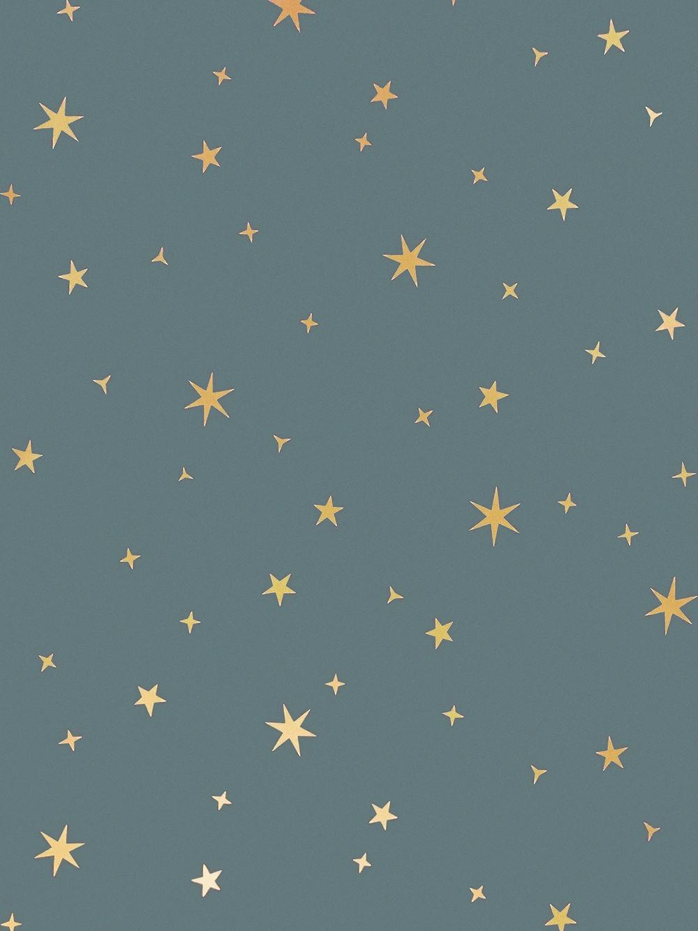 1000x1333 Light Blue Starry Sky Ceiling Wallpaper. Victorian Style Design