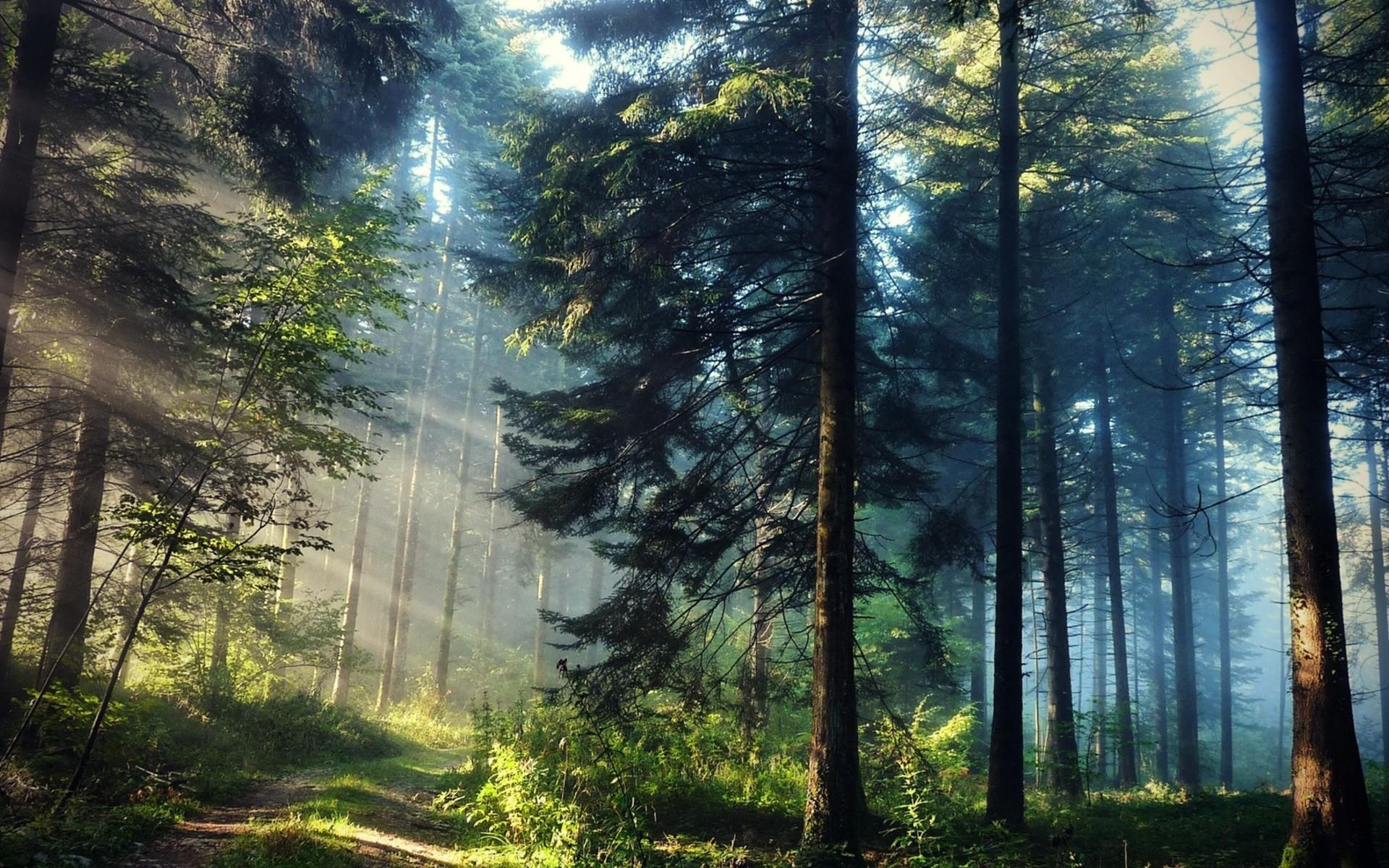 1920p Wallpapers - Top Free 1920p Backgrounds - WallpaperAccess