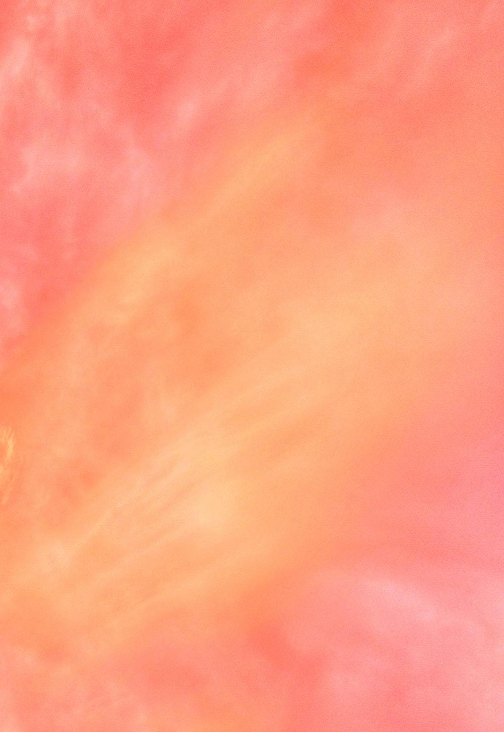 1000x1452 Coral Pink Picture. Download Free Image