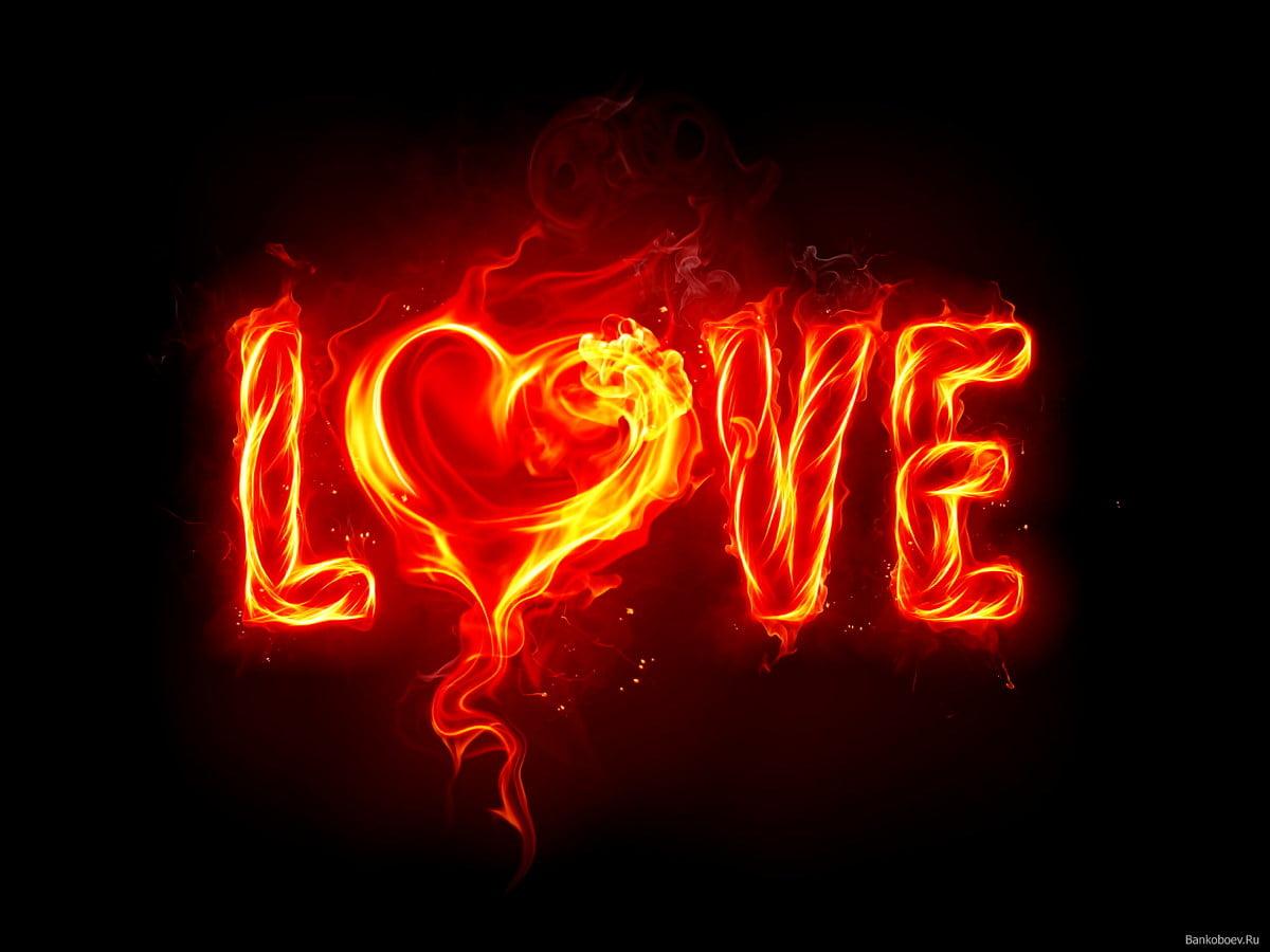 1200x900 Neon wallpaper HD. Download Free background