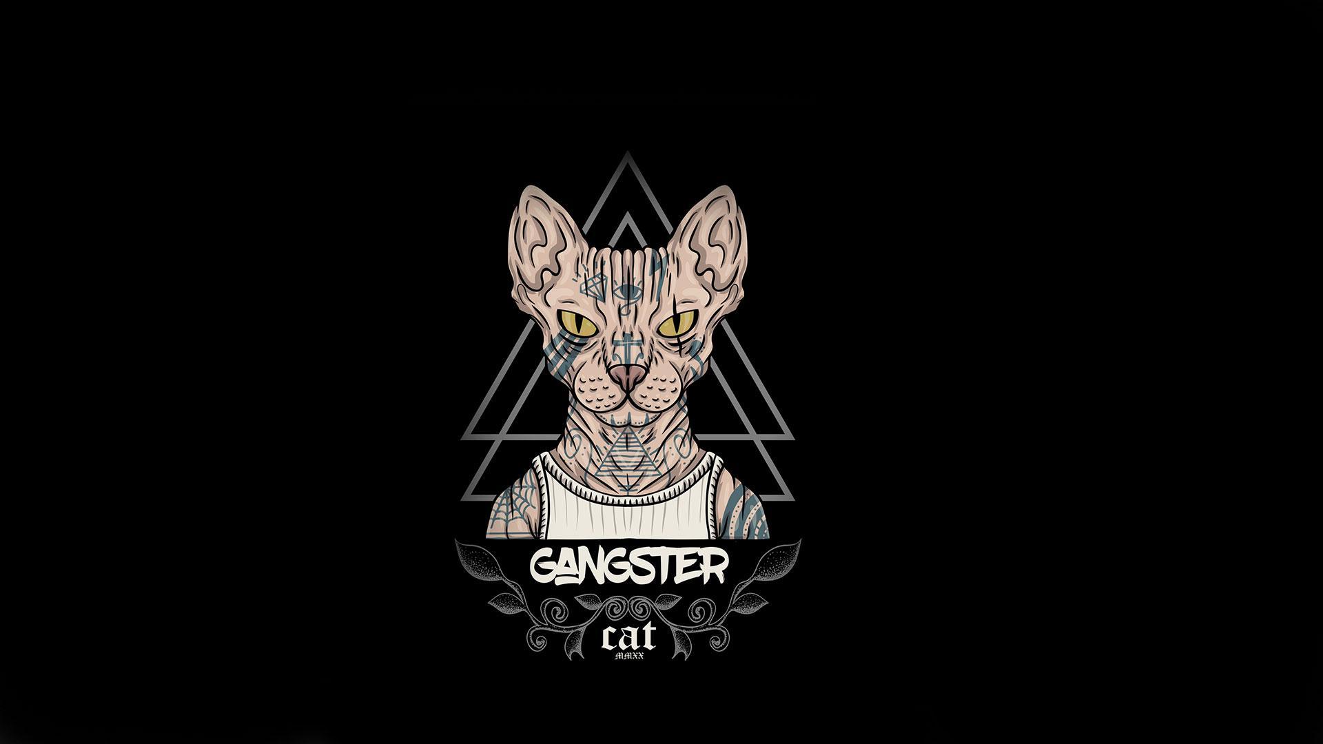 1920x1080 Snake oil and cat pics