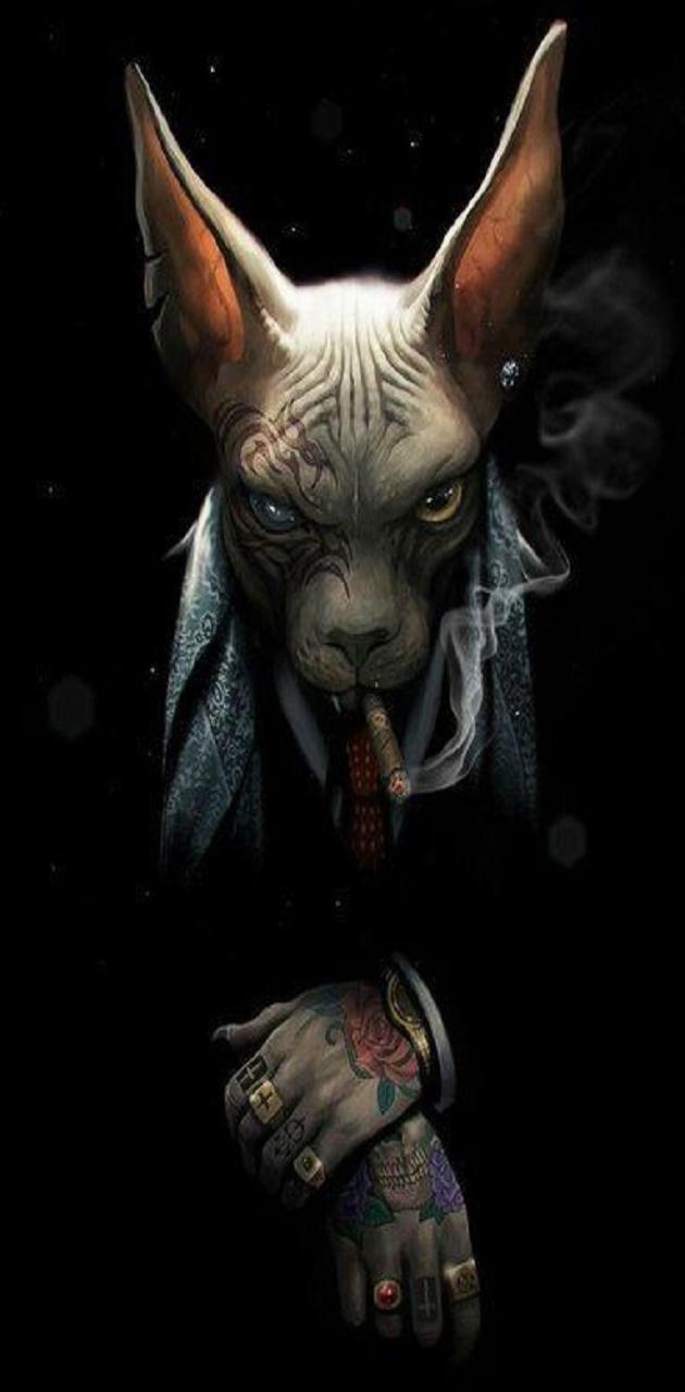 630x1280 boss cat wallpaper