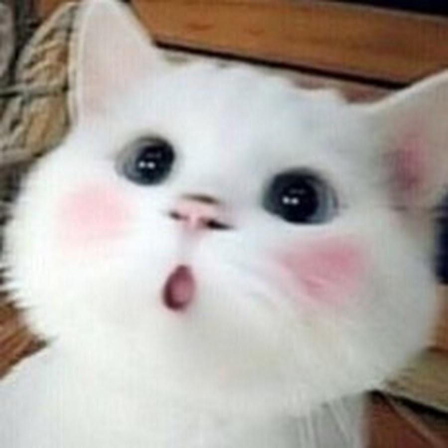 900x900 BeastBoyShub