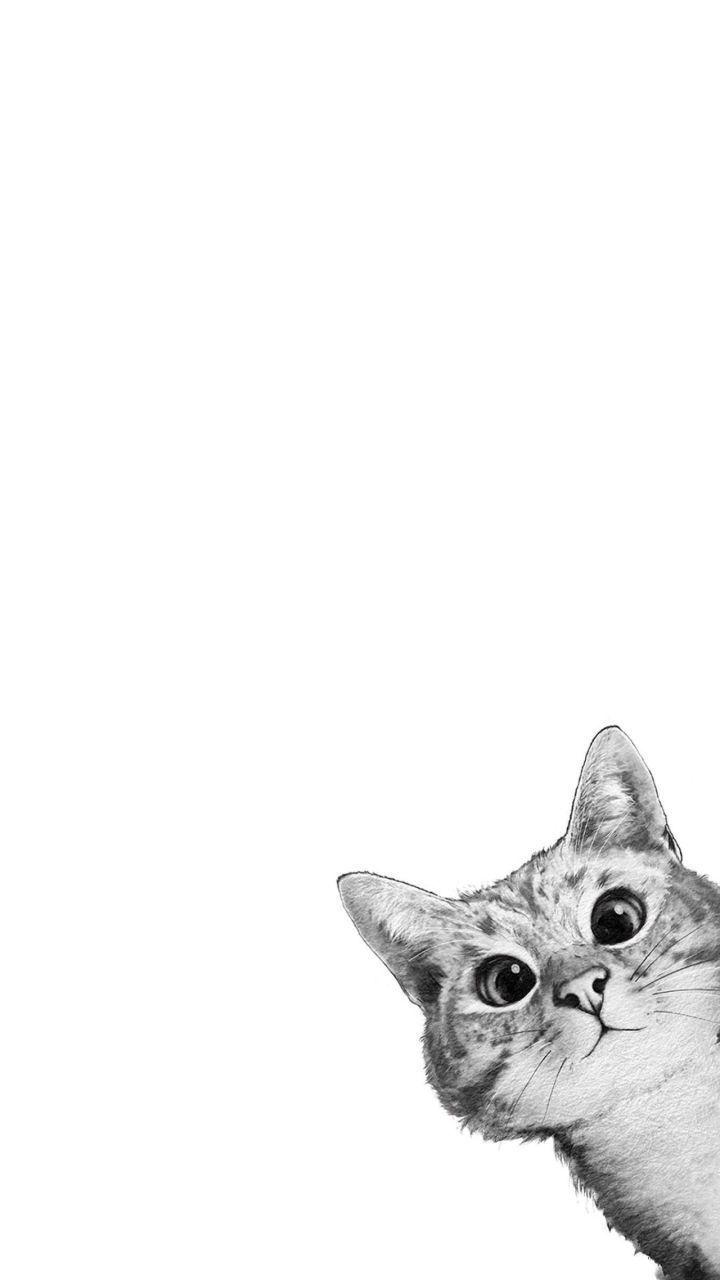 720x1280 iPhone wallpaper. iPhone wallpaper cat, Animal wallpaper, Cute cat wallpaper