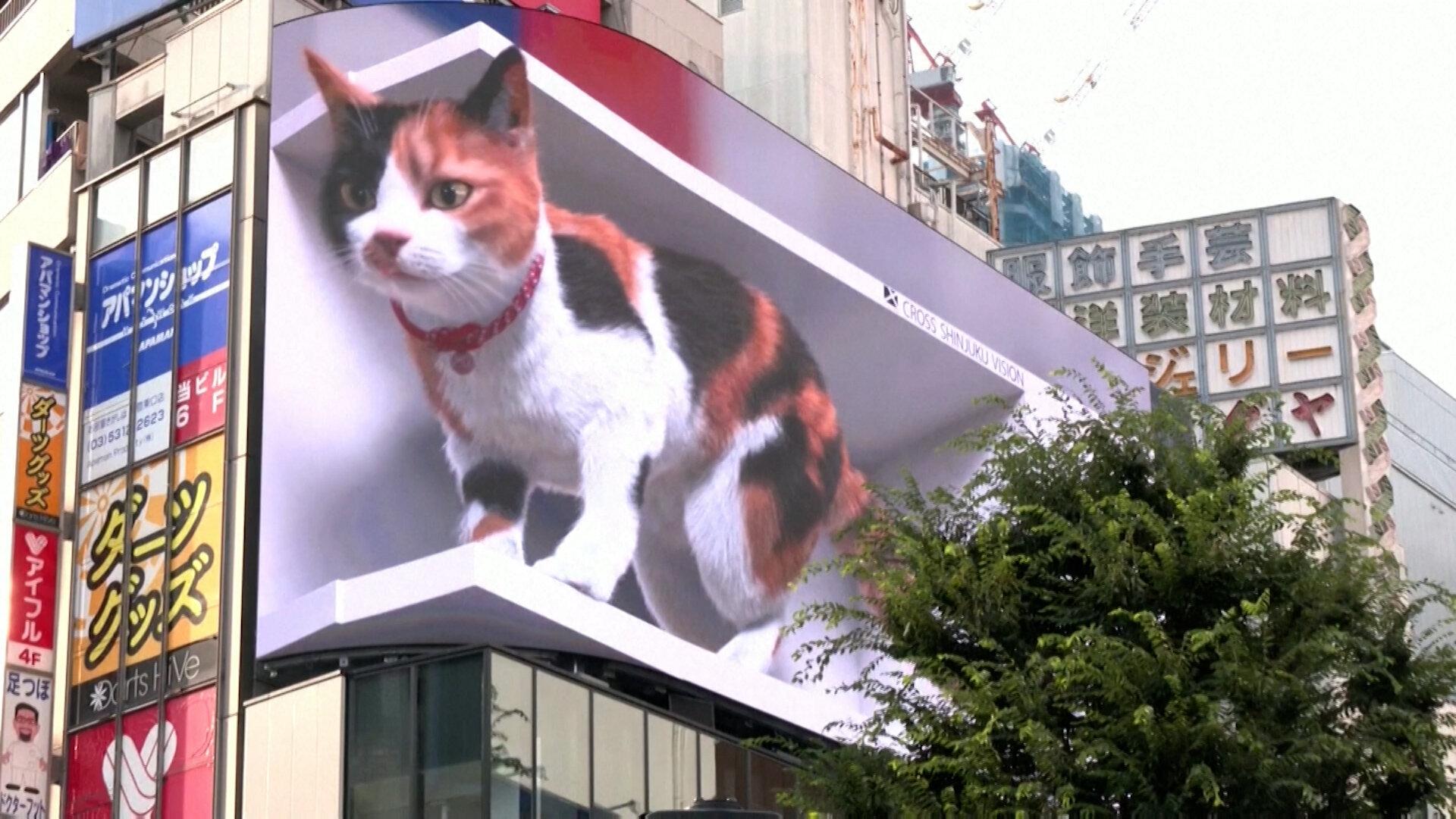1920x1080 A Digital Cat Is Melting Hearts (and Napping a Lot) in Japan