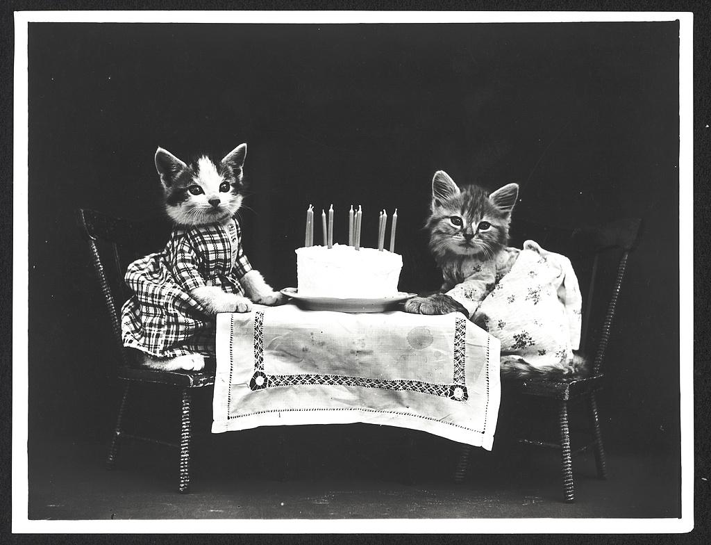 1024x784 Search results for Photo, Print, Drawing, Cat in Human Situations, Available Online. Library of Congress