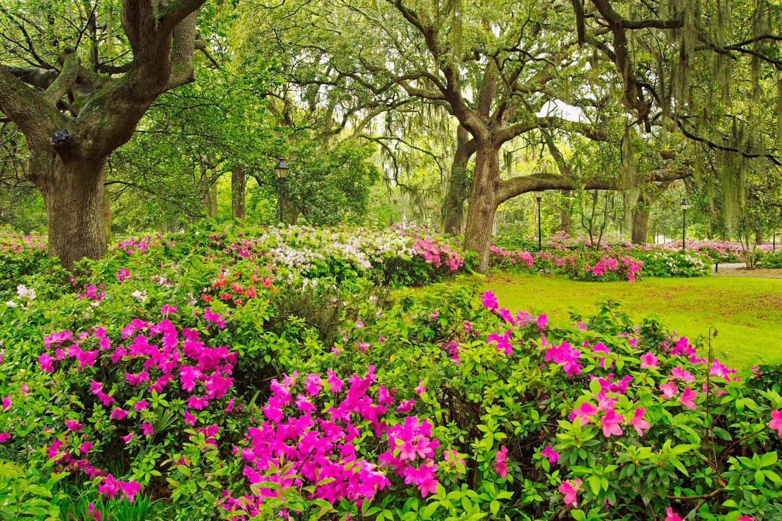 1600x1067 Flower Garden Wallpaper