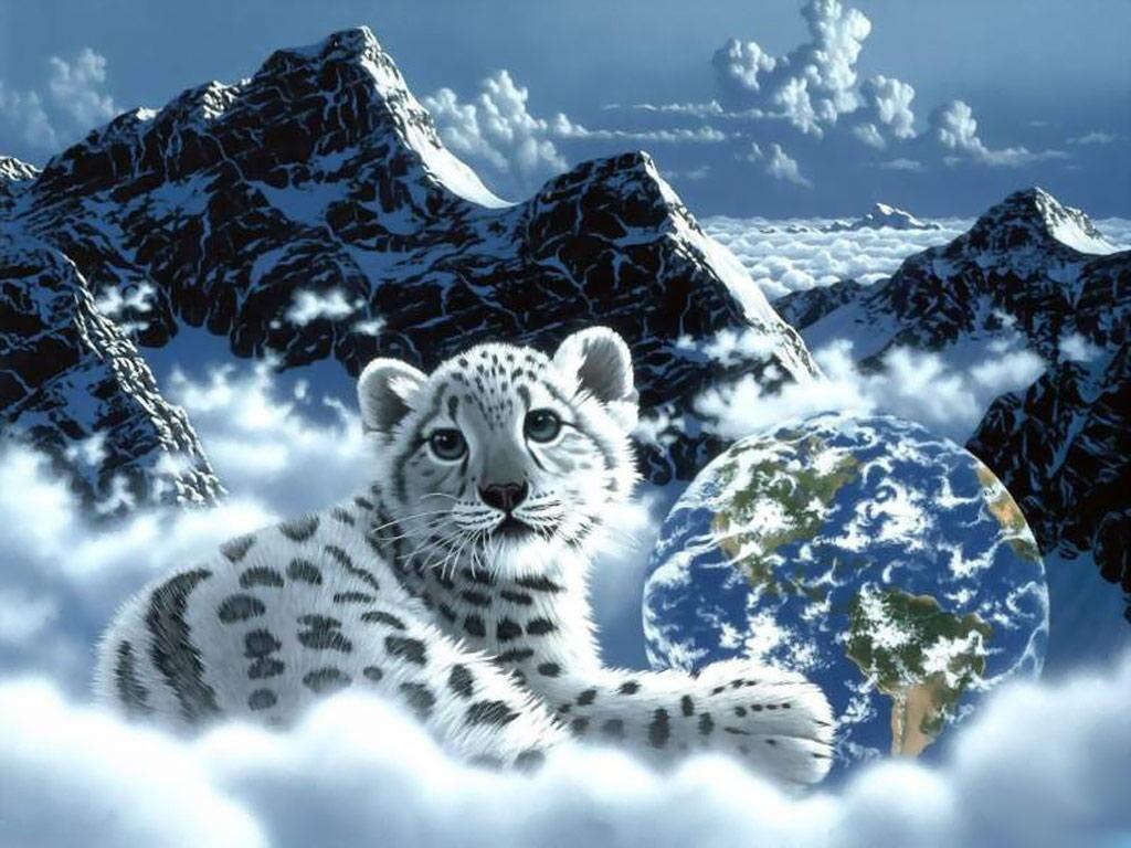 1024x768 Beautiful Leopard Sunny ( Cat) Wallpaper