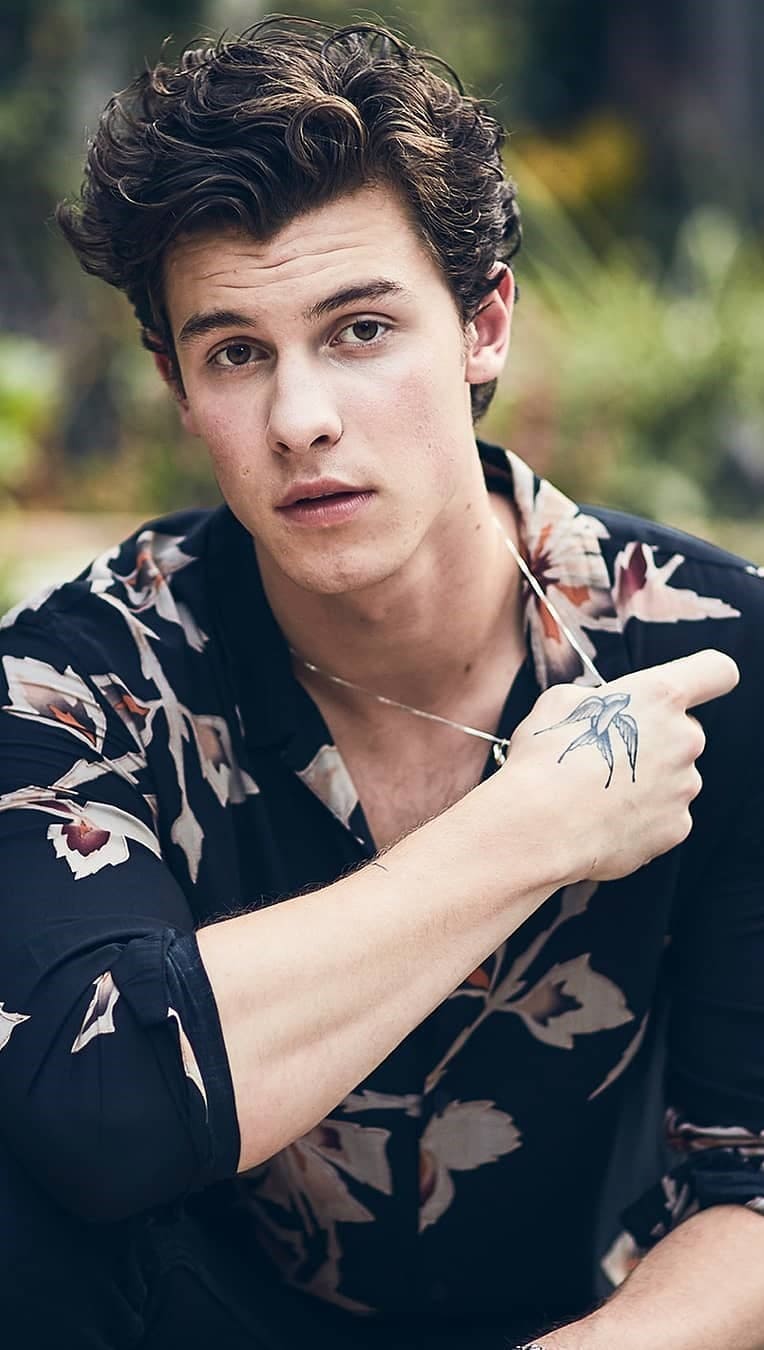 764x1350 Shawn Mendes Wallpaper Shawn Mendes Picture & Background