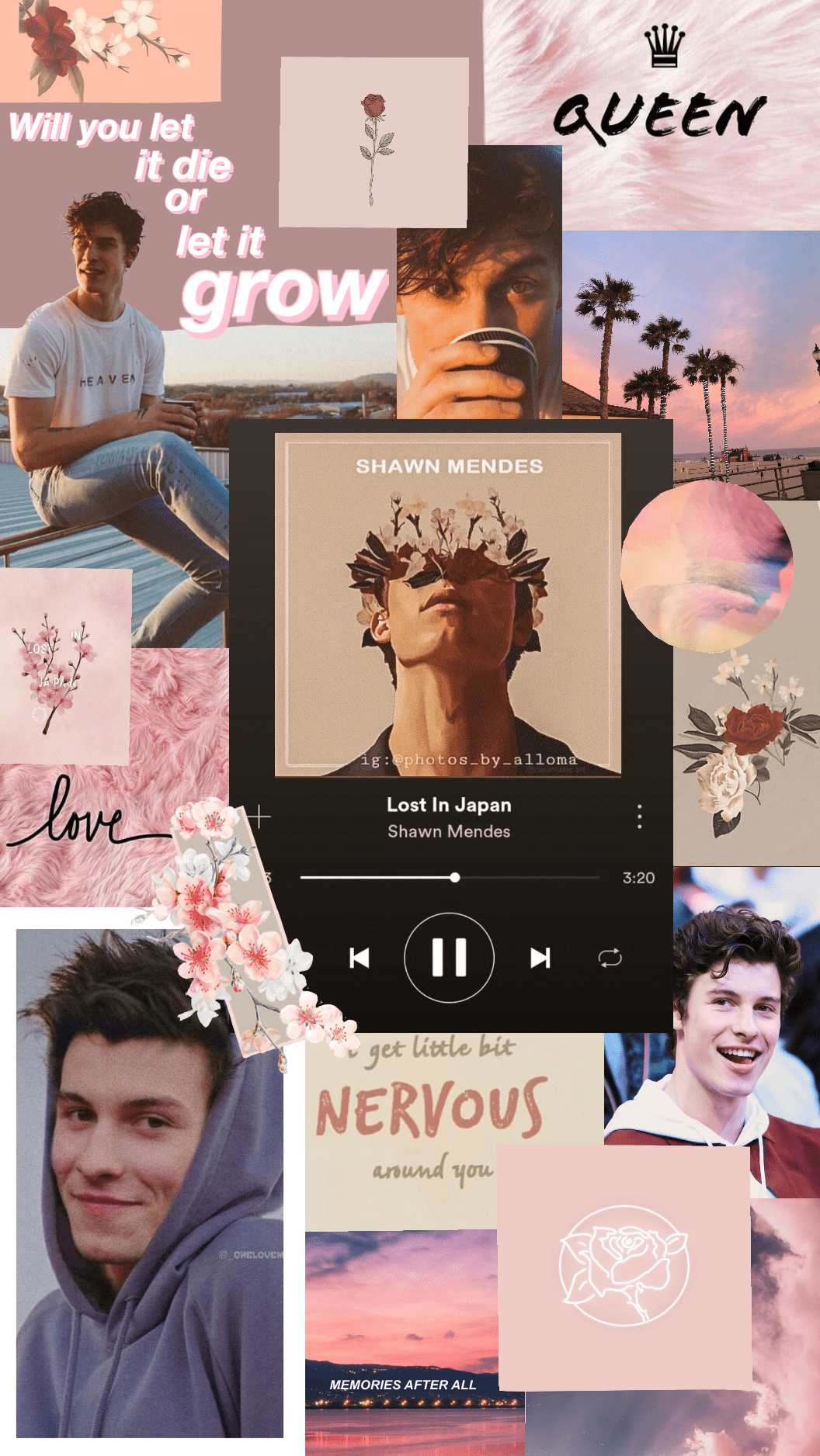 shawn mendes wallpaper