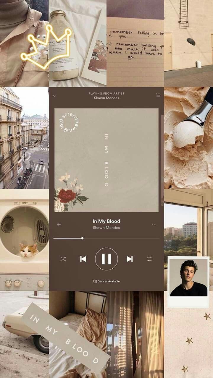 720x1279 Aesthetic Wallpaper iPhone Shawn Mendes