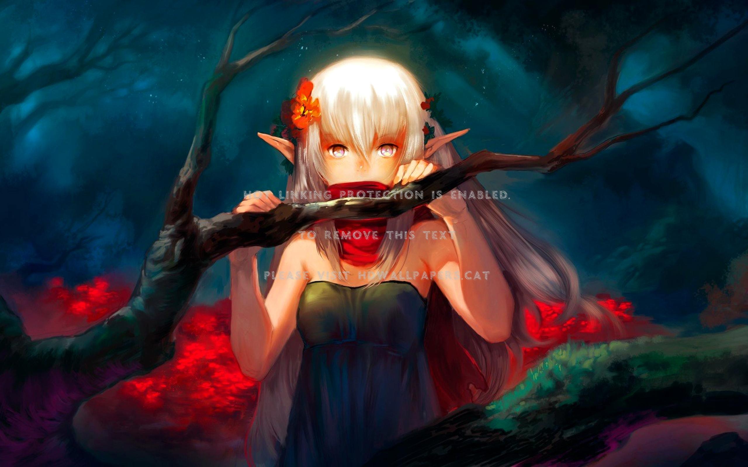 2560x1600 Dark Fairy Fantasy Anime Girl Girl Elf Fantasy