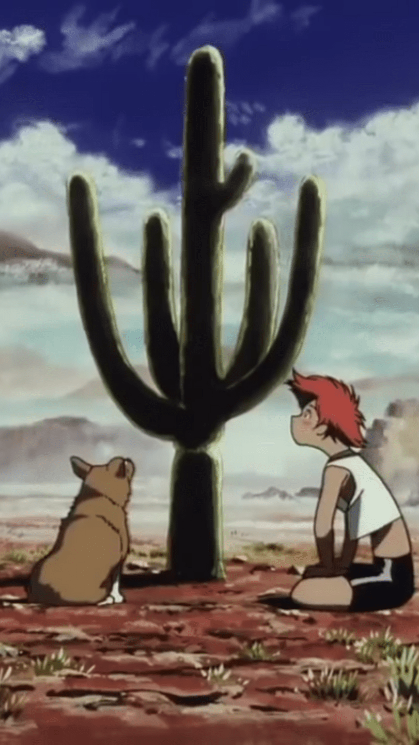 843x1500 radicaledward #ed #ein #cactus. Cowboy bebop wallpaper, 70s picture, Cowboy bebop